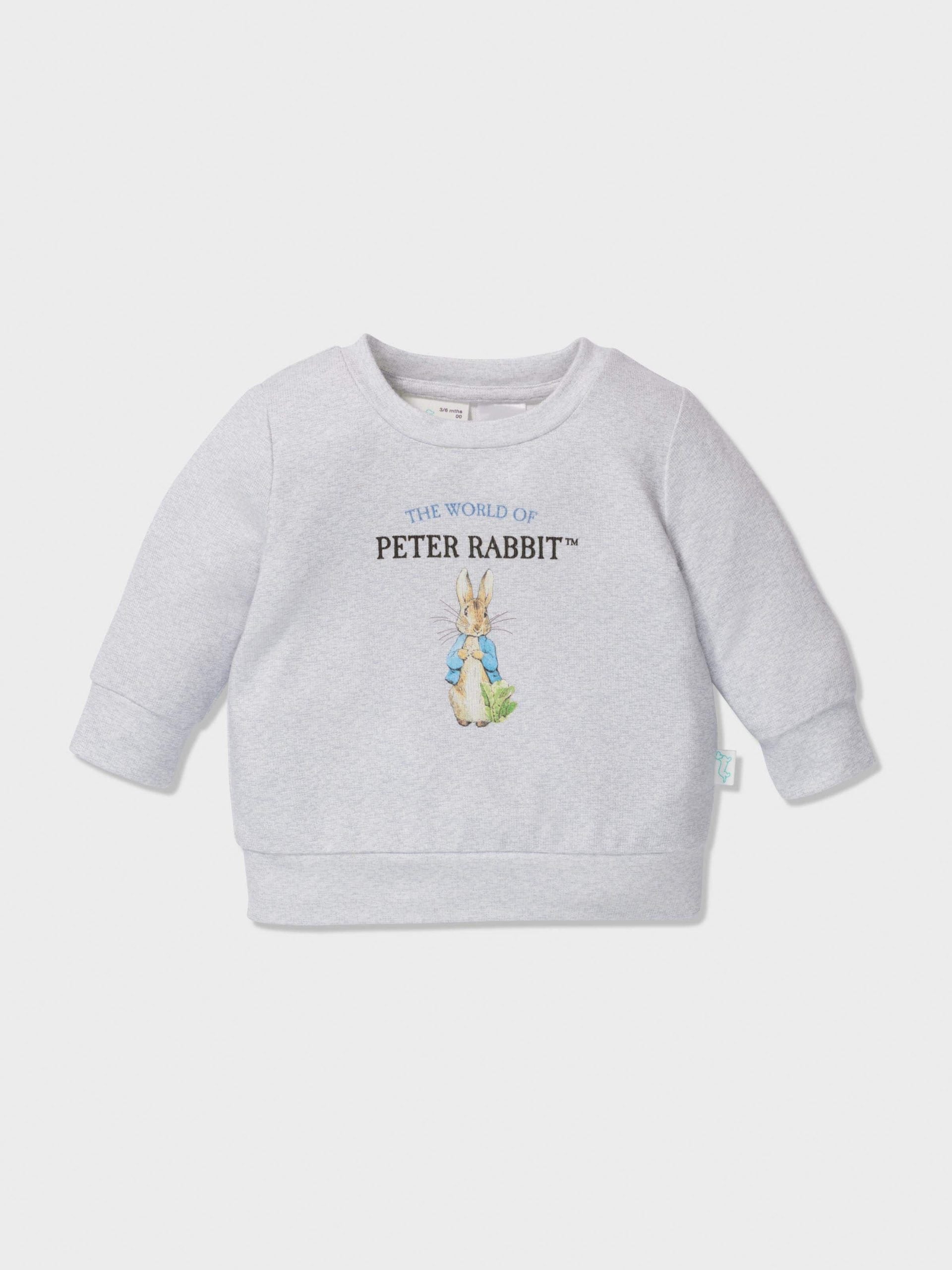 Baby Peter Rabbit Plush Pj Set multi