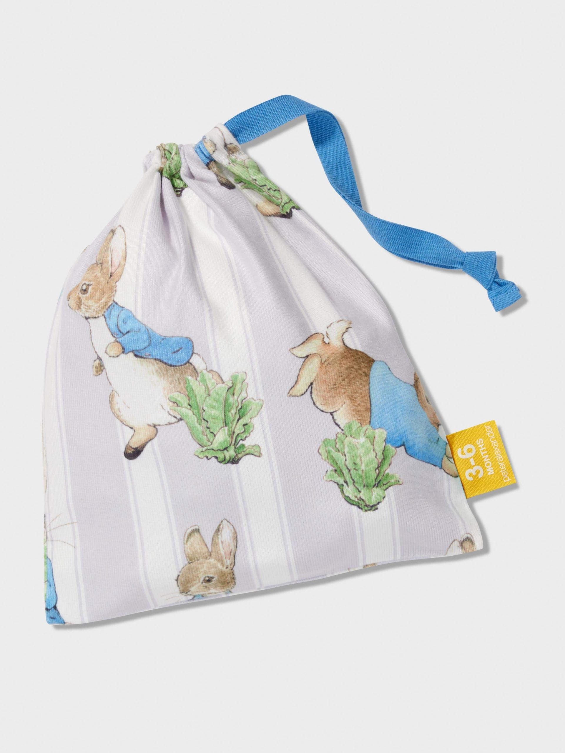 Baby Peter Rabbit Plush Pj Set multi