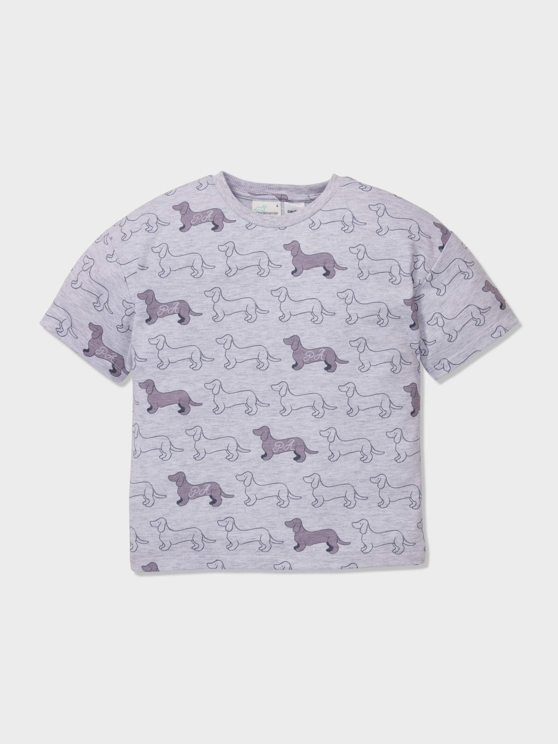 Jnr Boys Penny Print Short Pj Set greymarle
