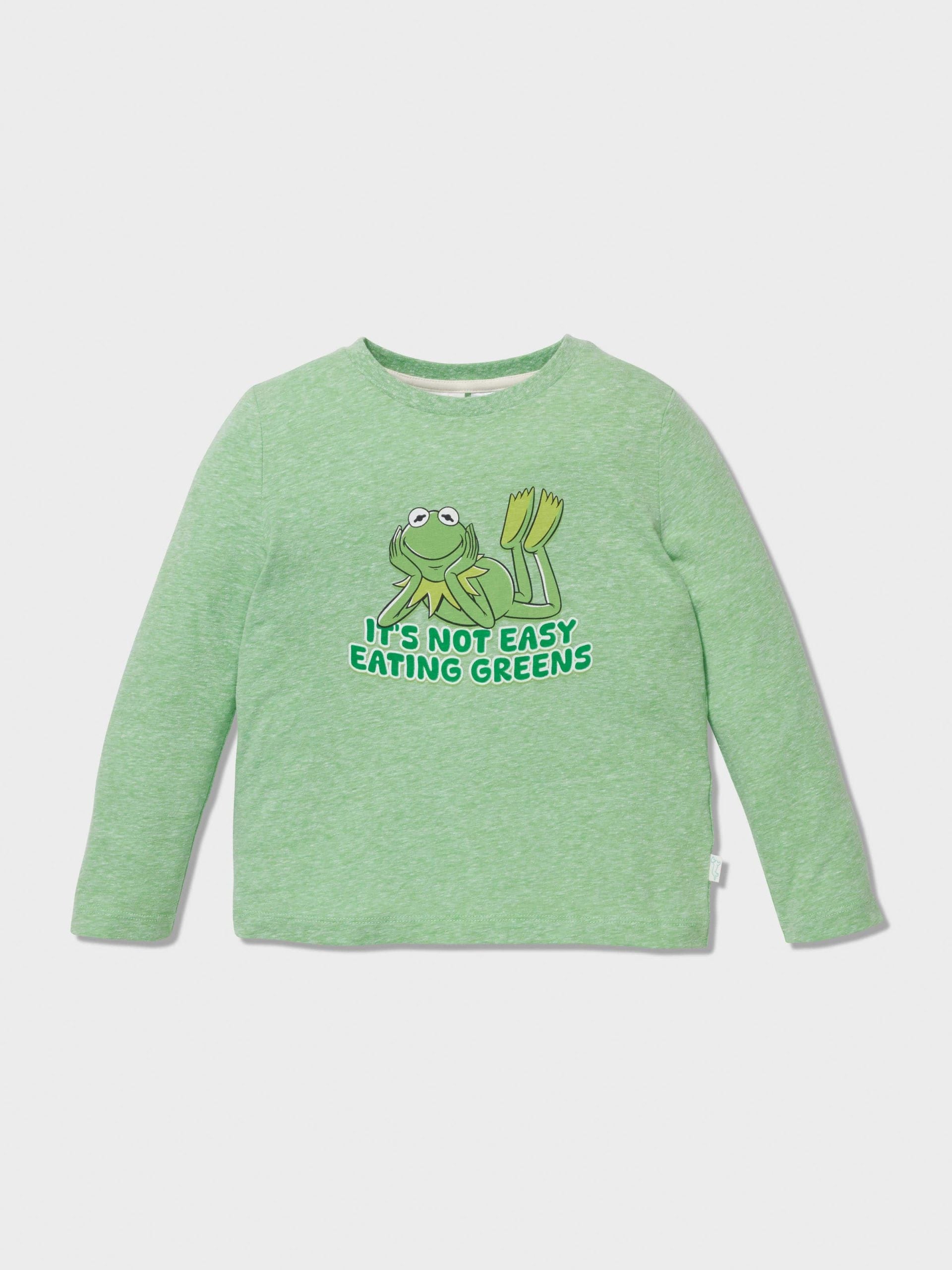 Jnr Boys Kermit Greens Long Pj Set multi