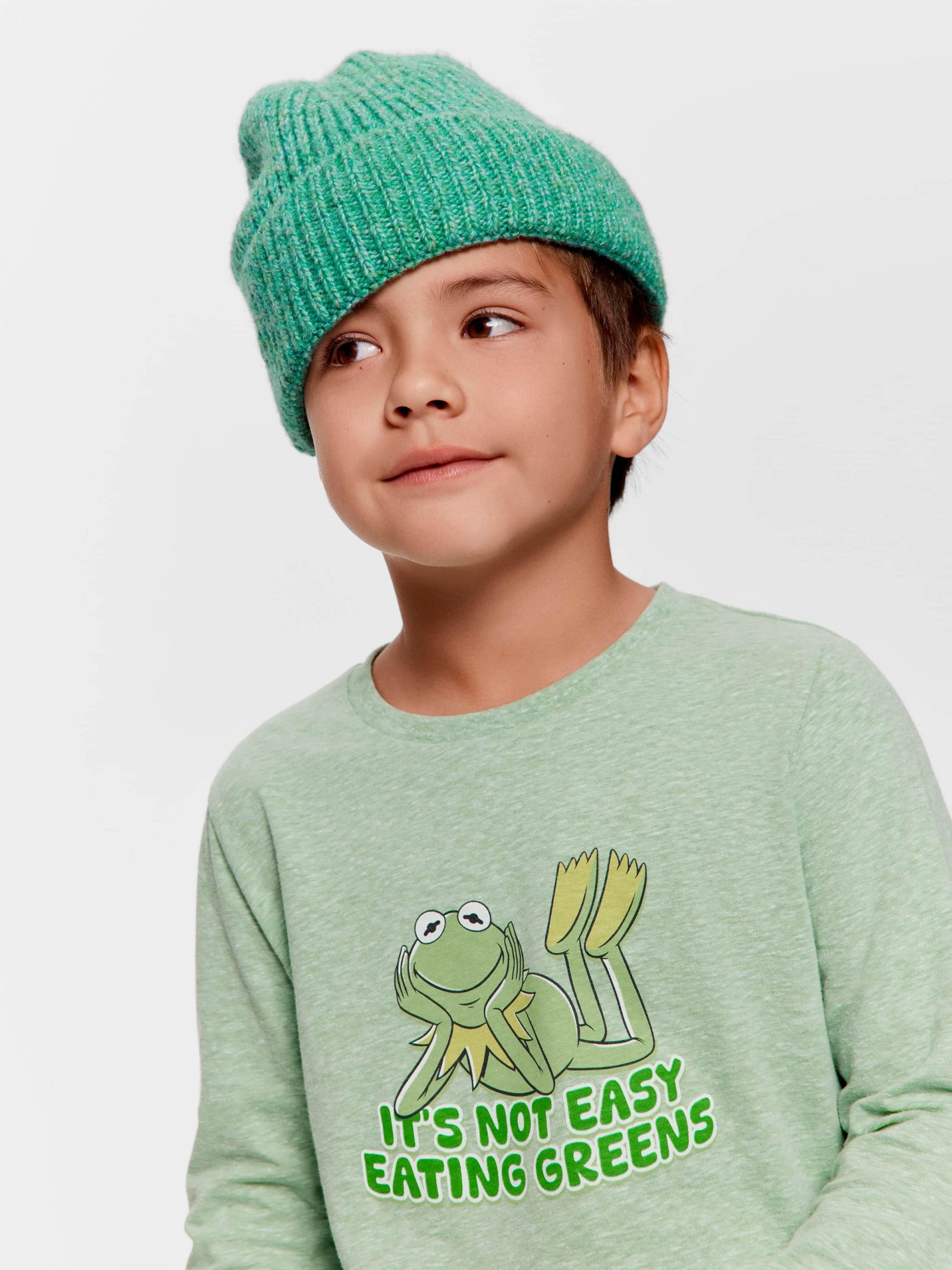 Jnr Boys Kermit Greens Long Pj Set multi