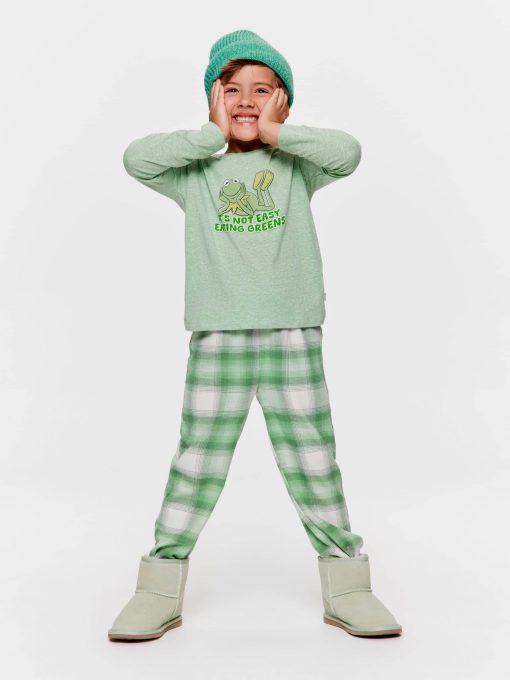Jnr Boys Kermit Greens Long Pj Set multi