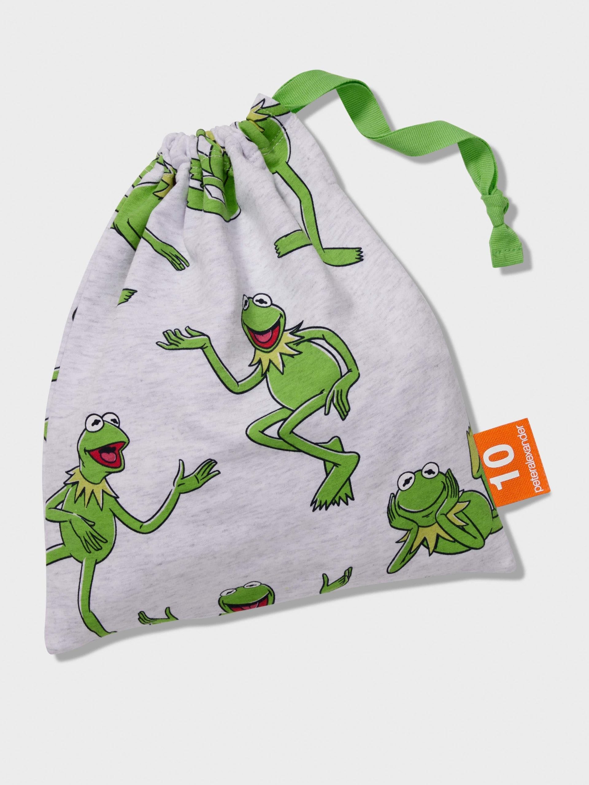 Kids Kermit Long Pj Set multi