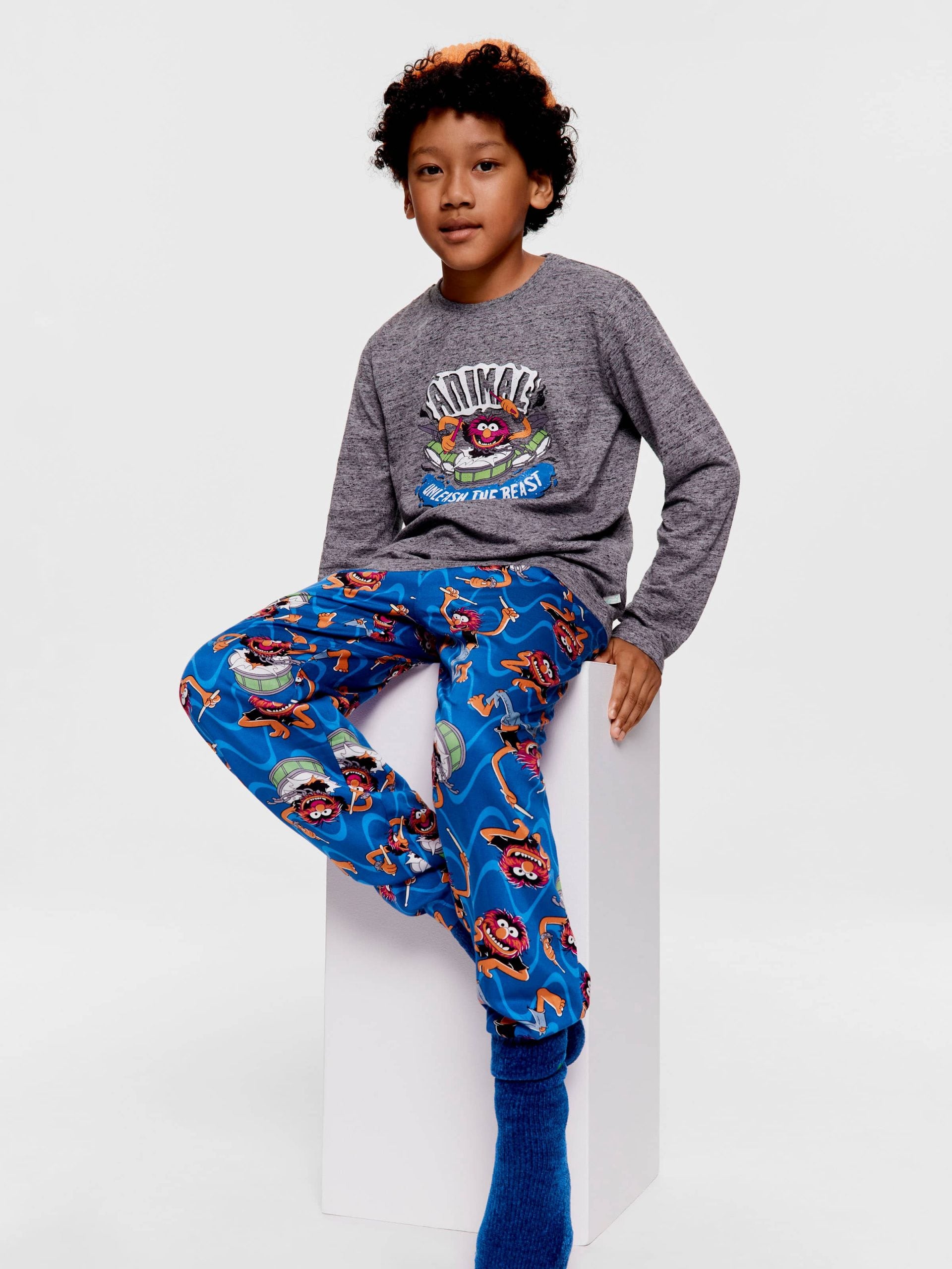 Boys Animal Muppet Long Pj Set multi