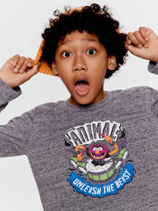 Boys Animal Muppet Long Pj Set multi