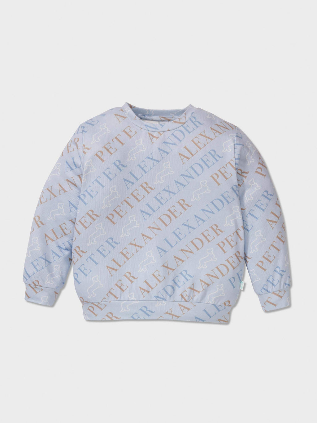 Jnr Boys Heritage Logo Pj Set dustyblue