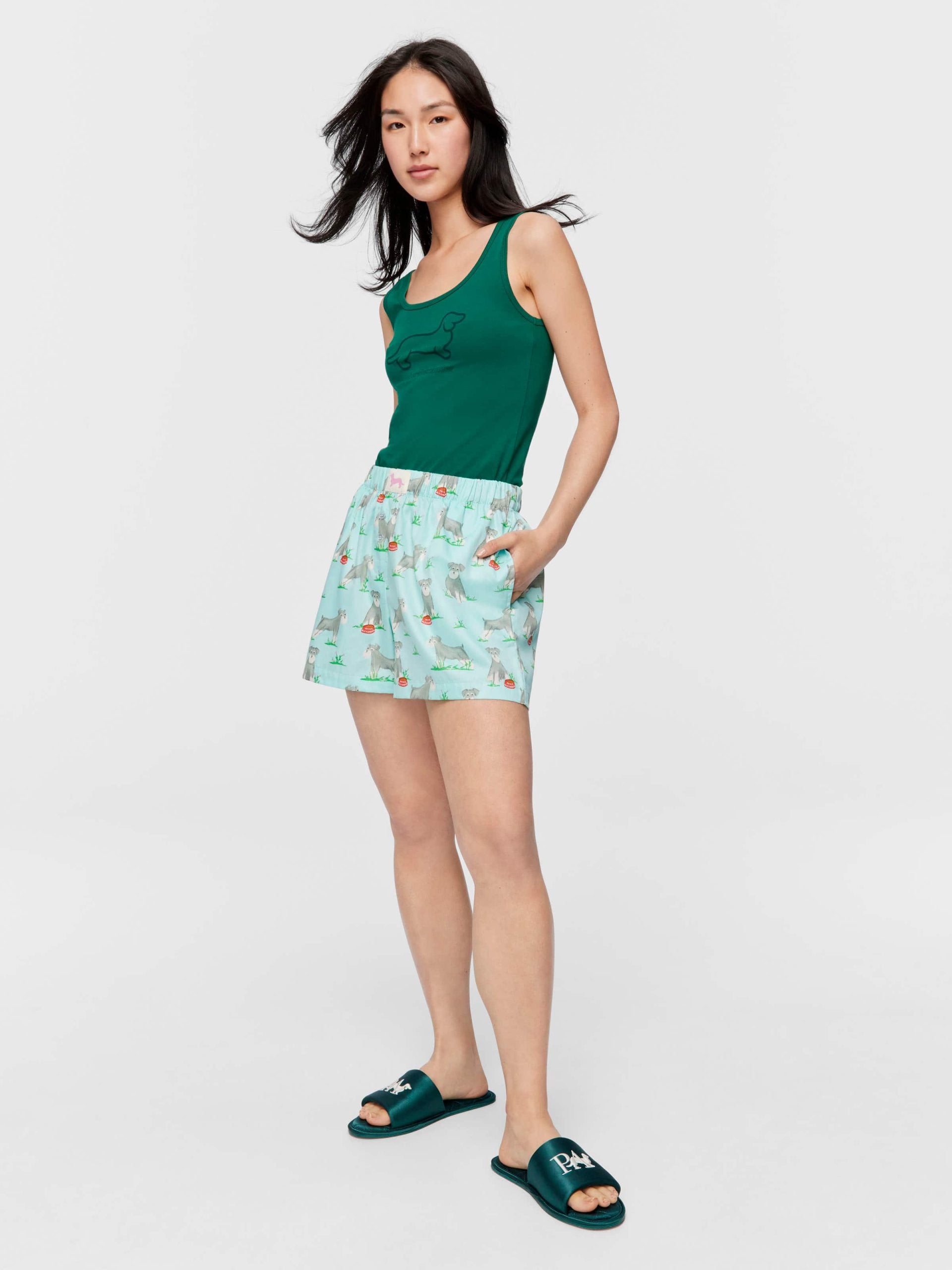 Schnauzer Long Boxer Short multi