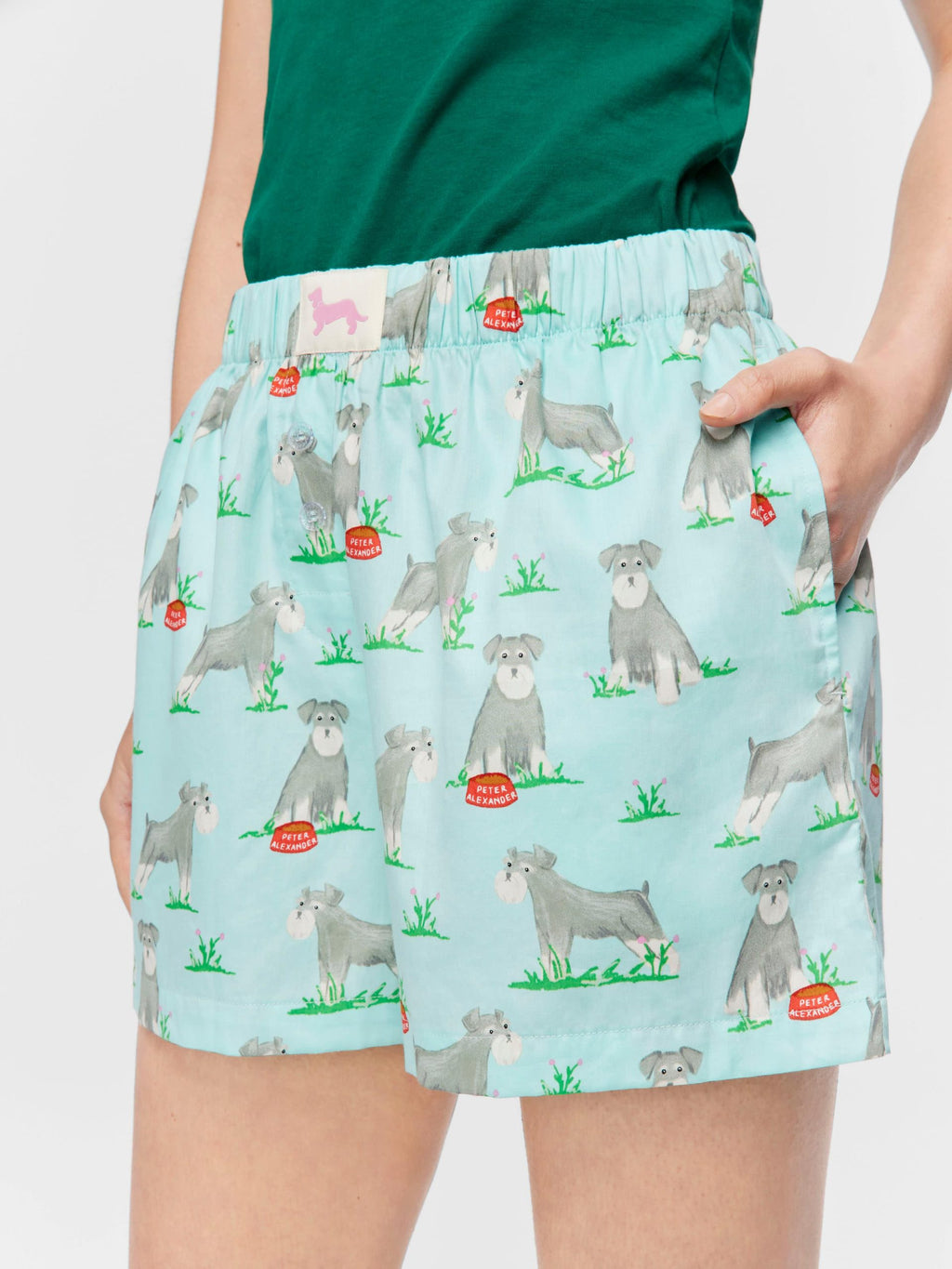 Schnauzer Long Boxer Short multi