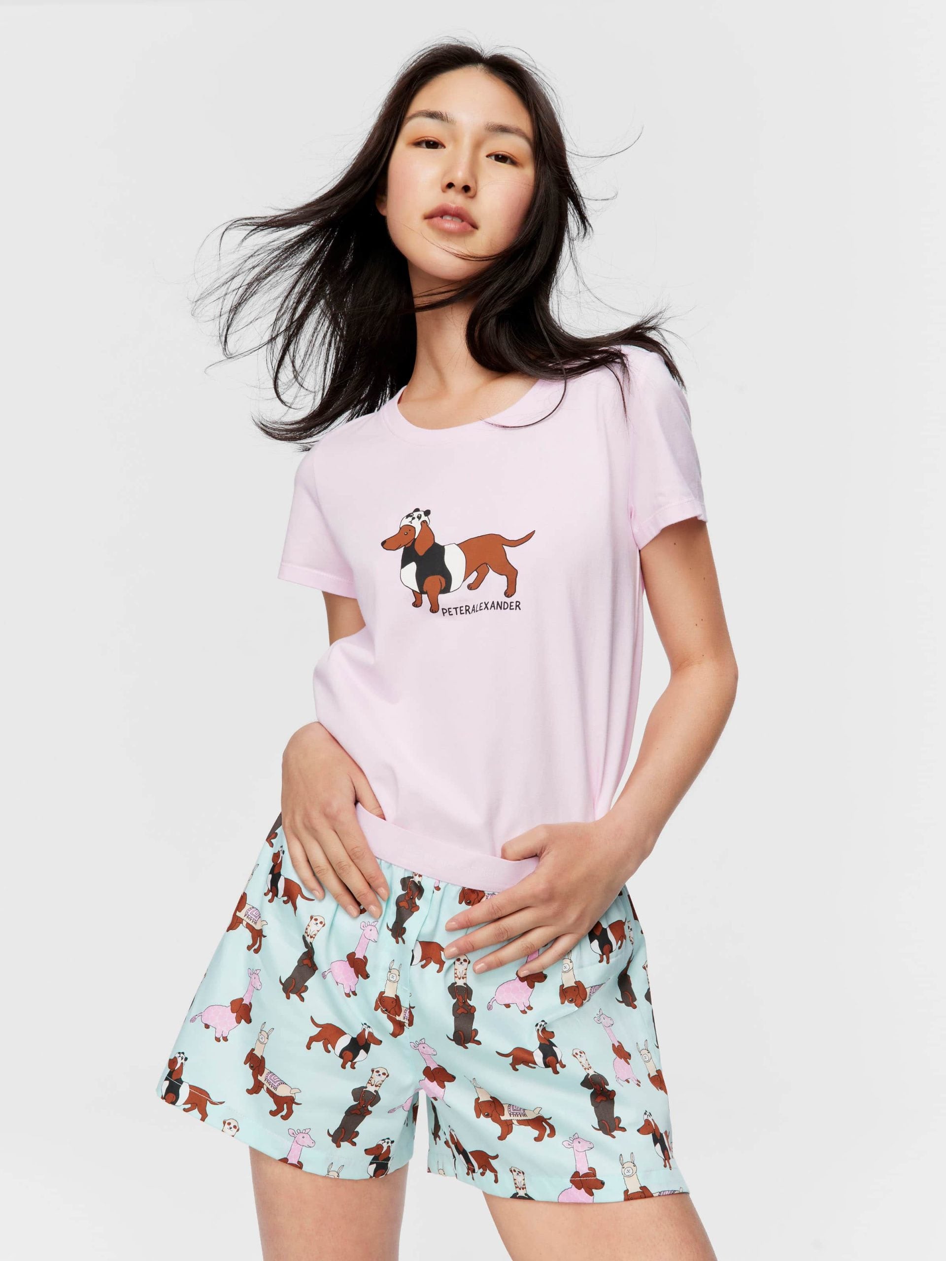 Dress Up Dogs Boxer Short multi