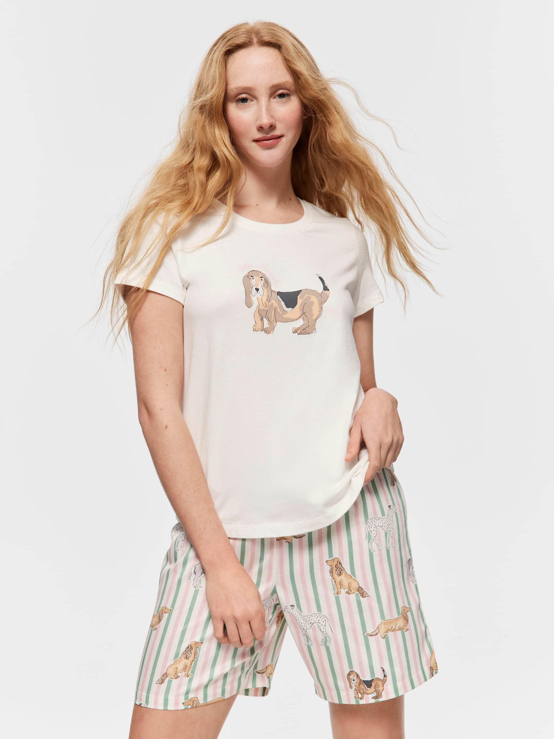 Beagle Tee cream
