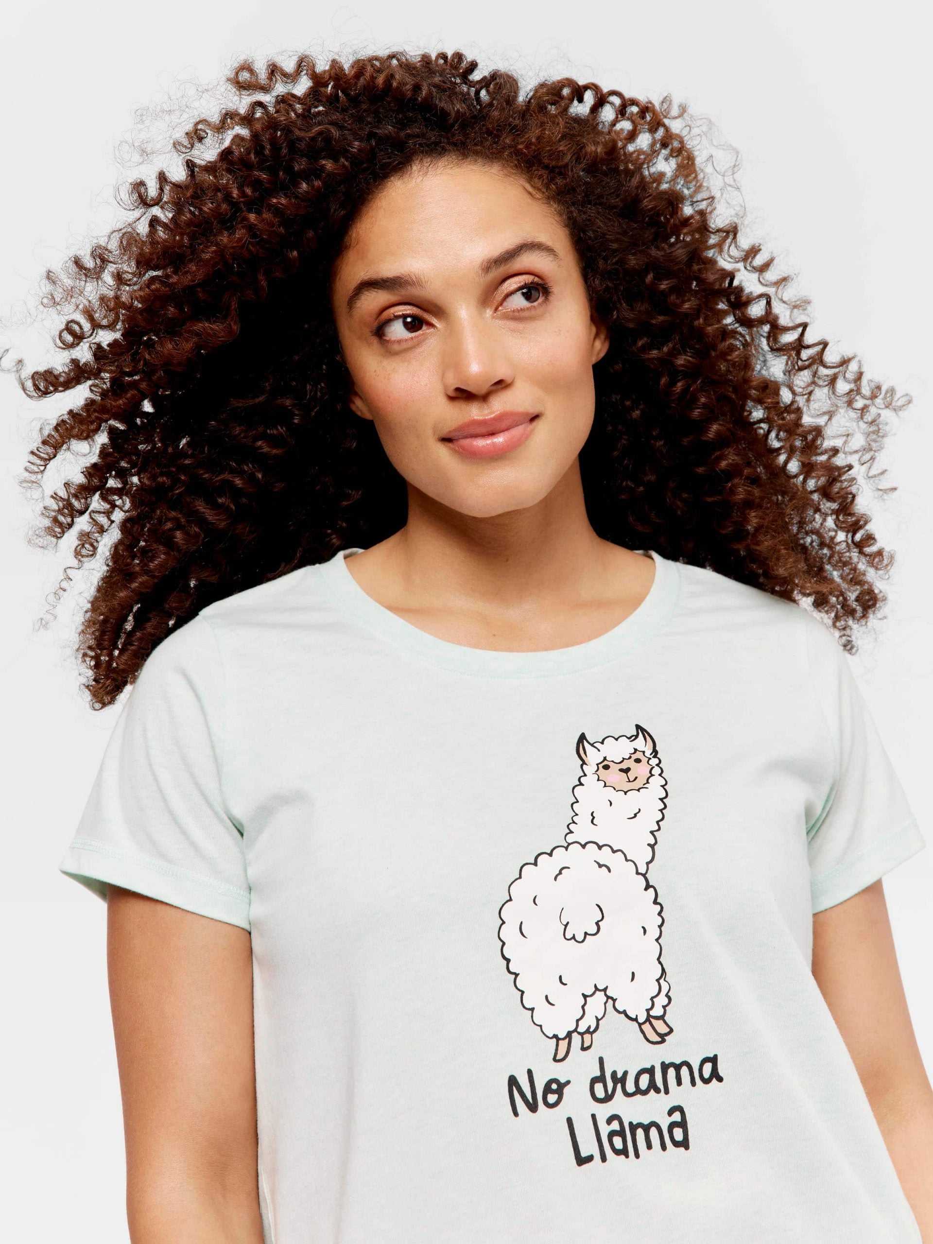 Mint Llama Tee mint