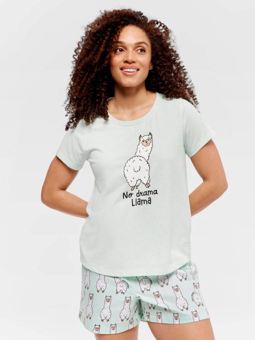 Mint Llama Tee mint