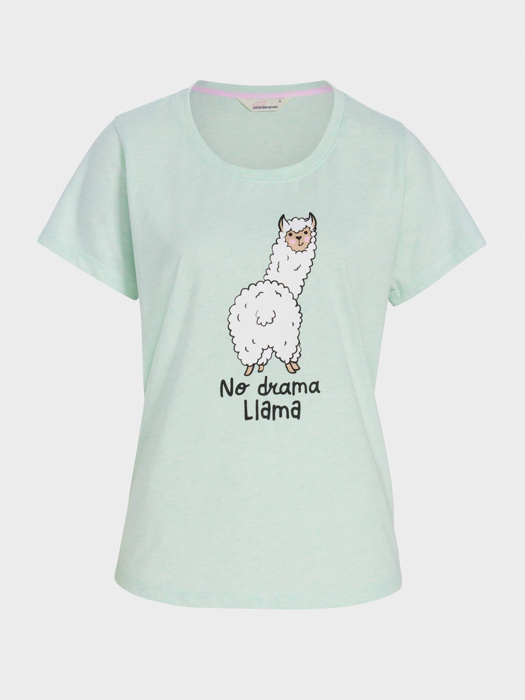 Mint Llama Tee mint