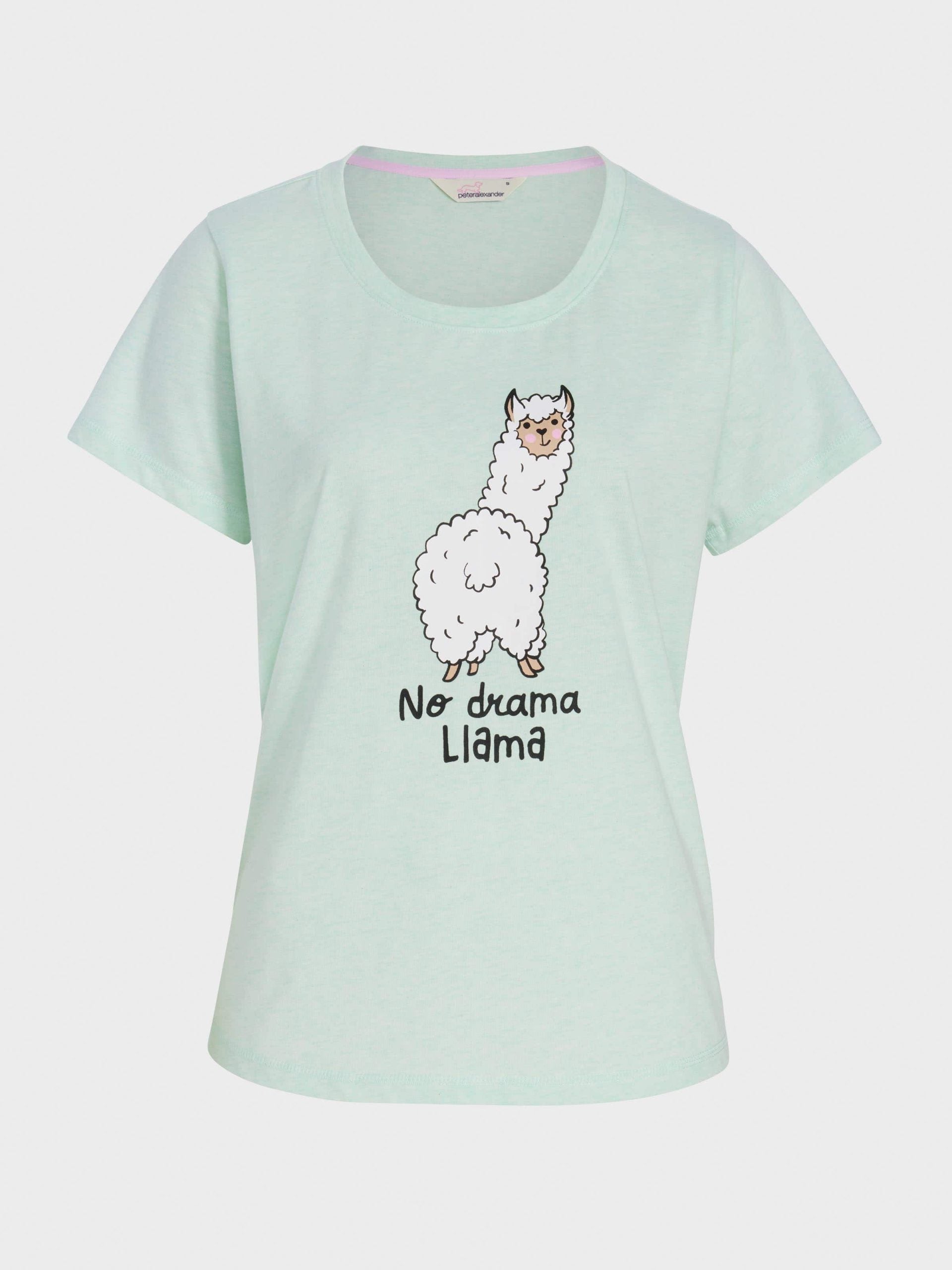 Mint Llama Tee mint