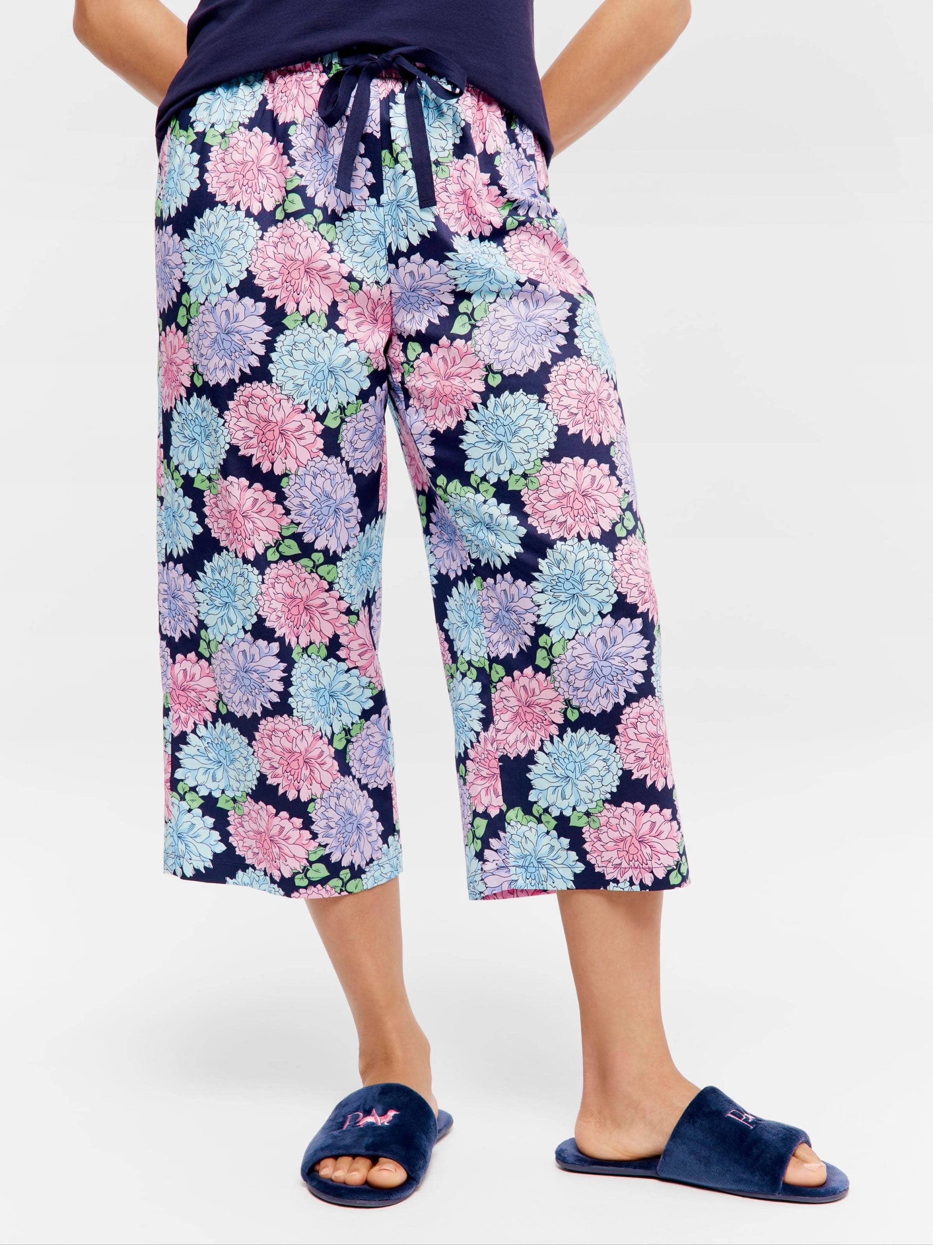 Chrysanthemum Pj Pant multi