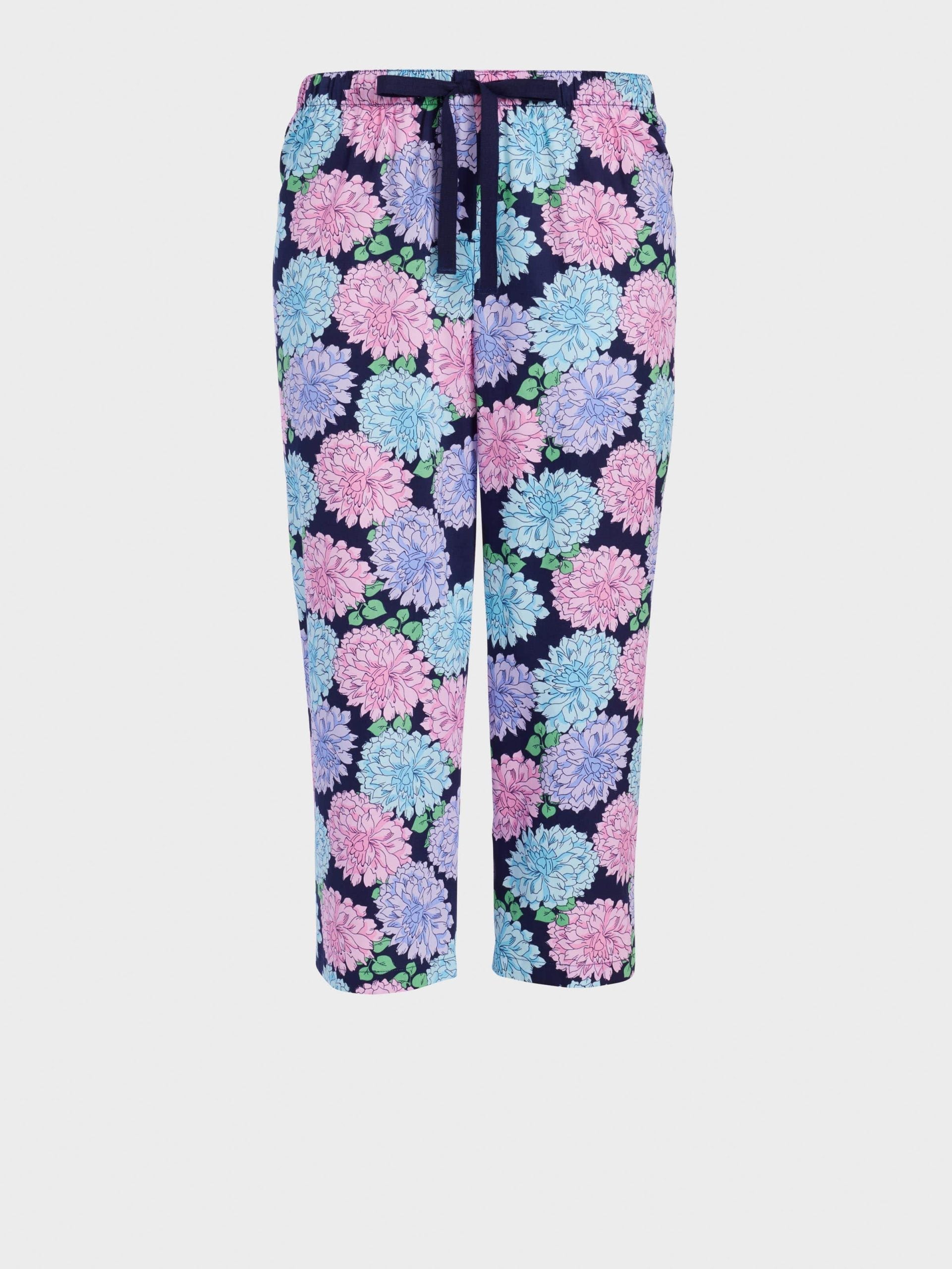Chrysanthemum Pj Pant multi