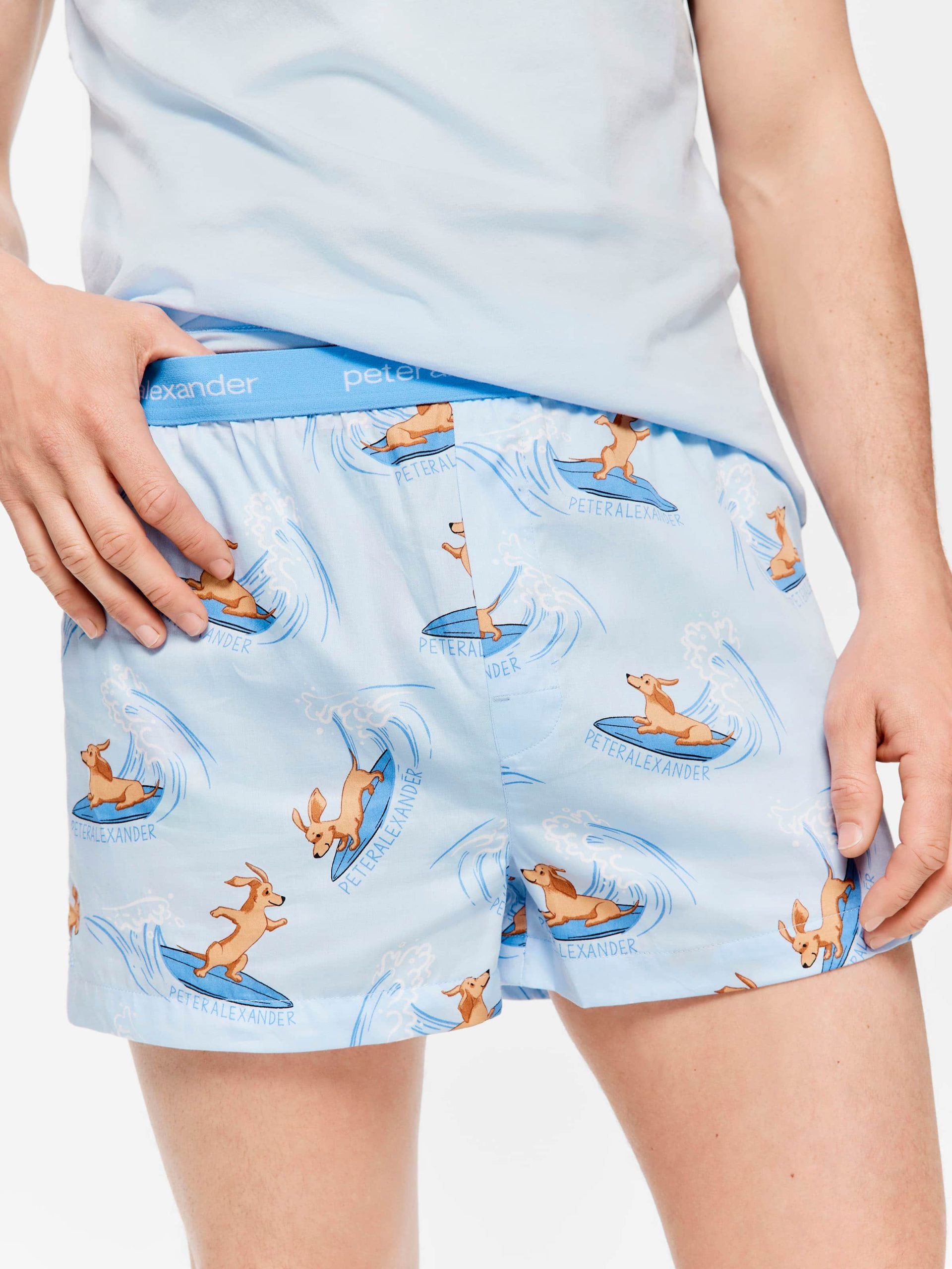 Surfs Up Boxer Short multi