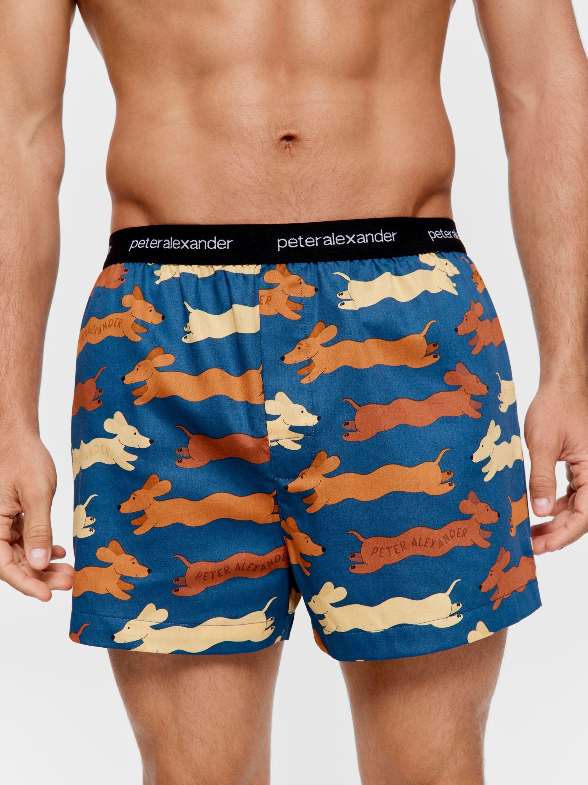 Wavy Penny Boxer Short multi