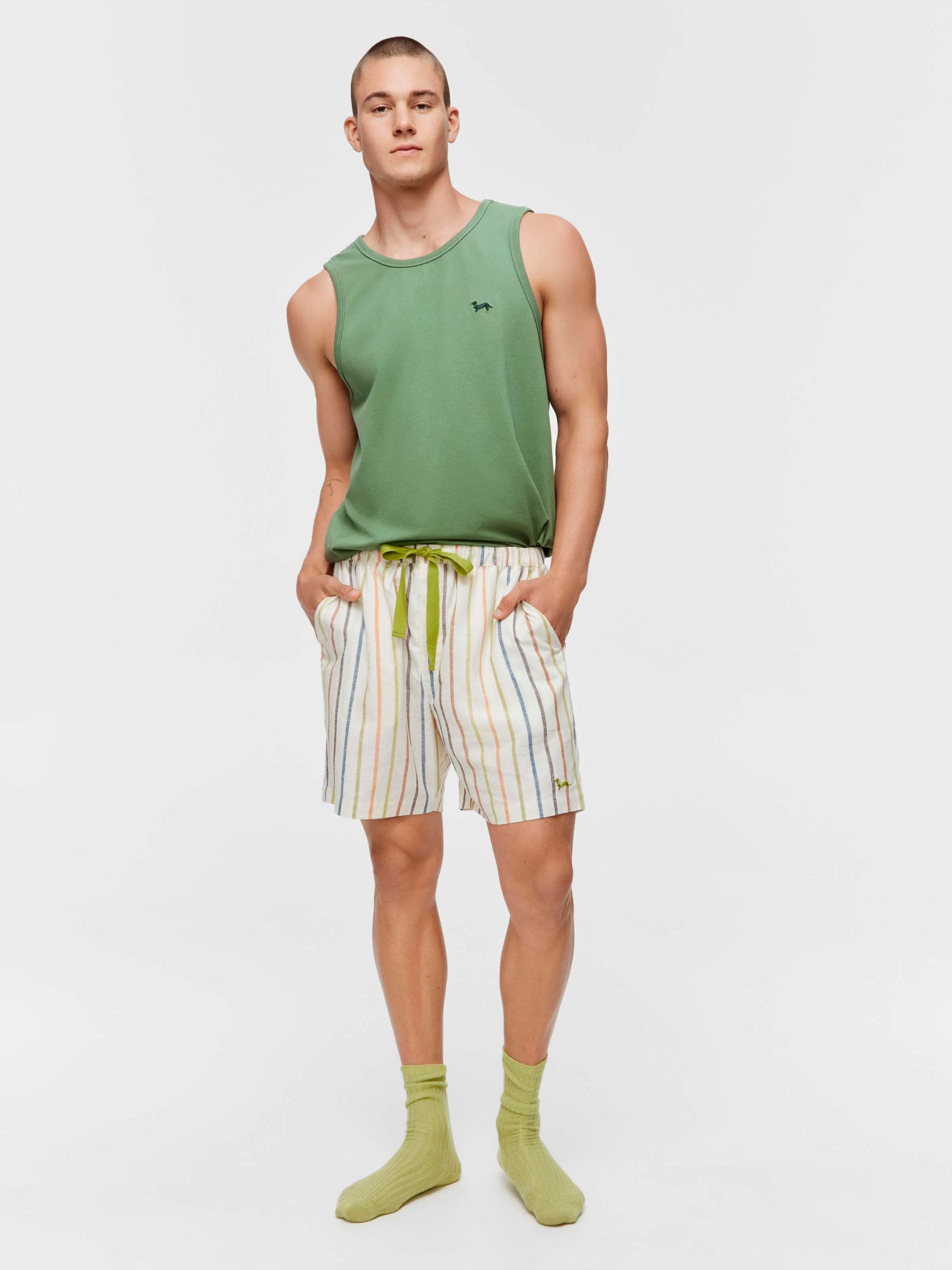 Pinstripe Mid Short multi