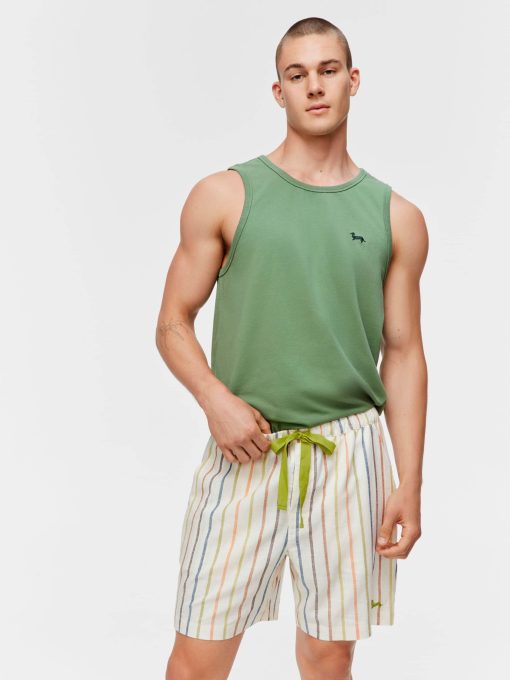 Pinstripe Mid Short multi