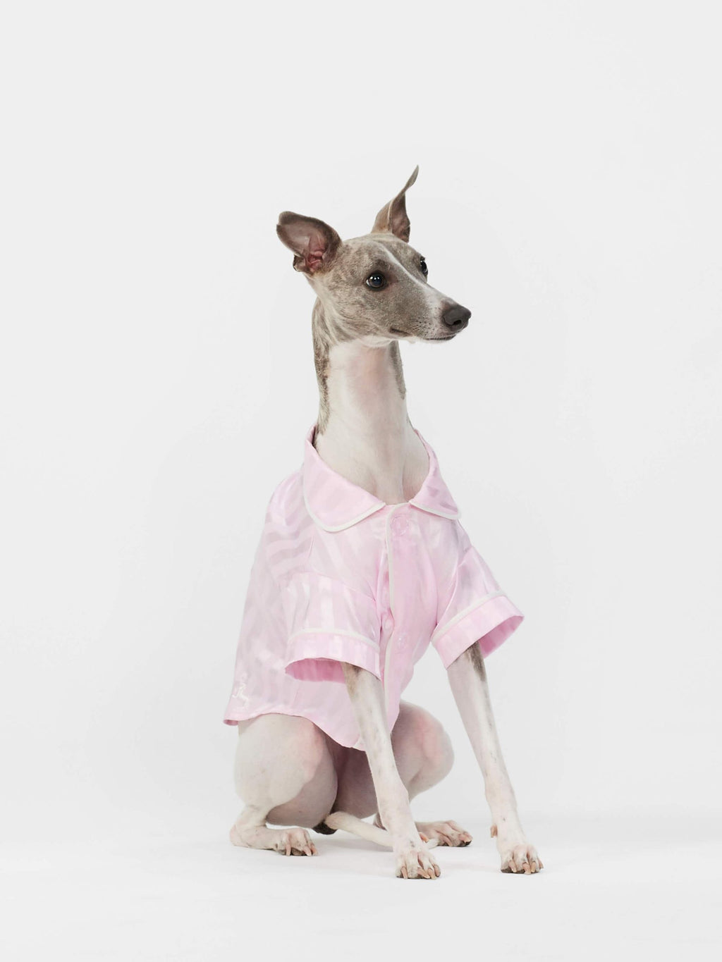 Pink Stripe Satin Doggy Shirt Pale Pink