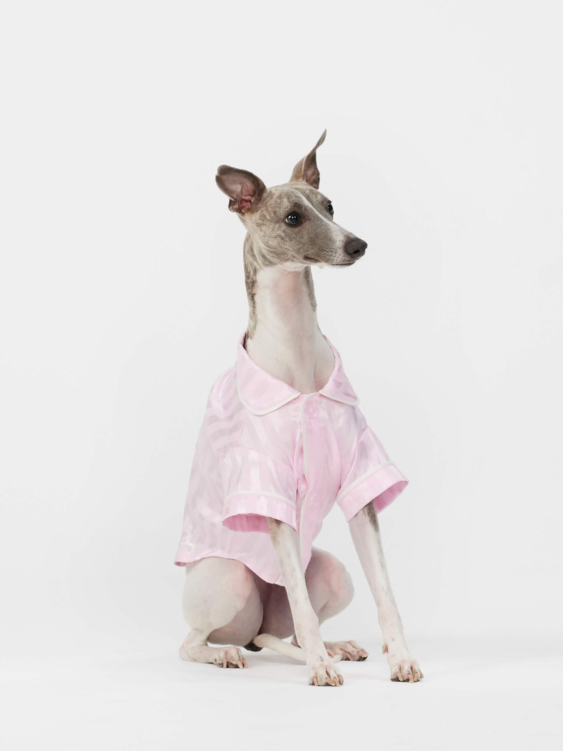 Pink Stripe Satin Doggy Shirt Pale Pink