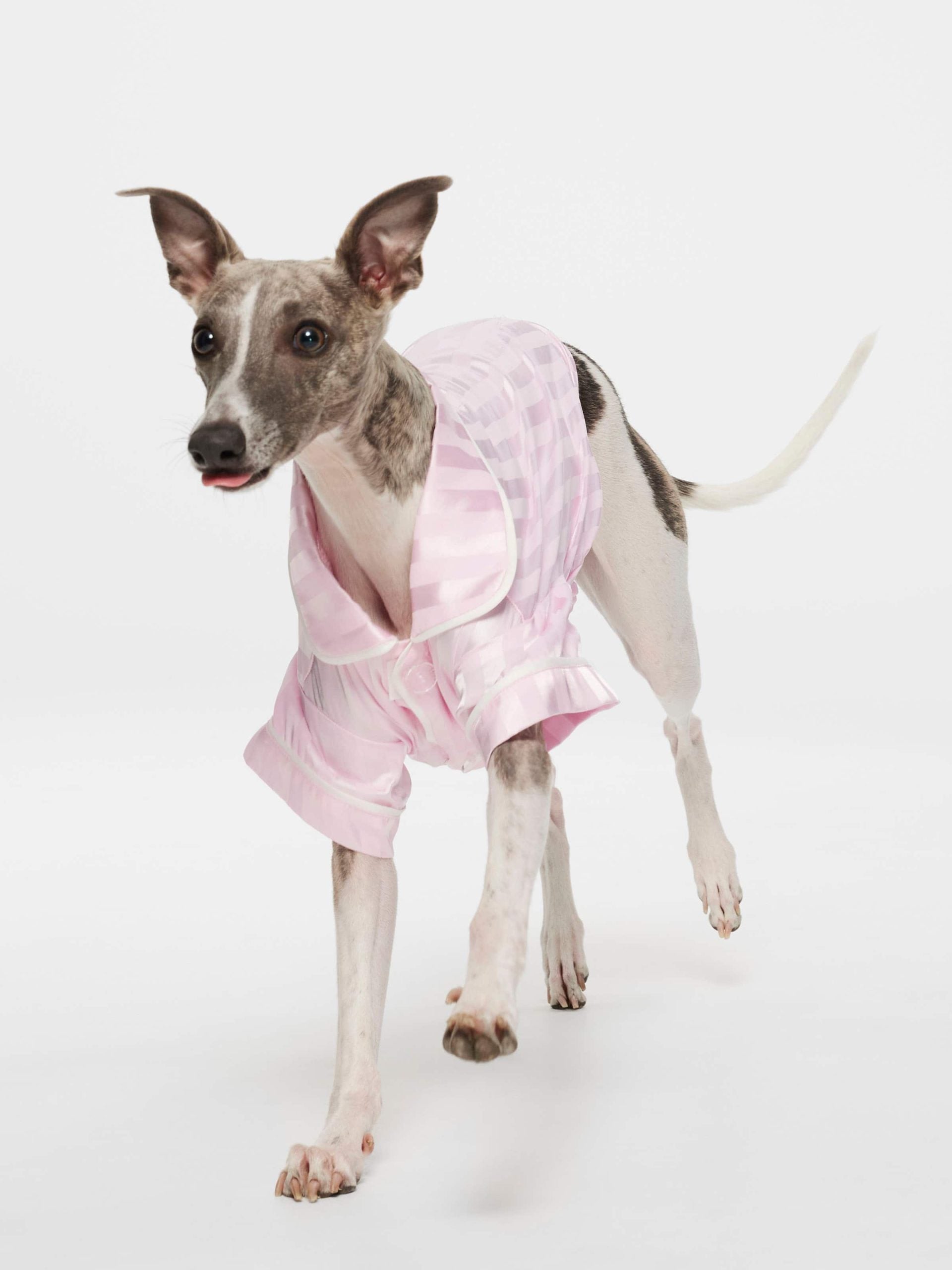 Pink Stripe Satin Doggy Shirt Pale Pink