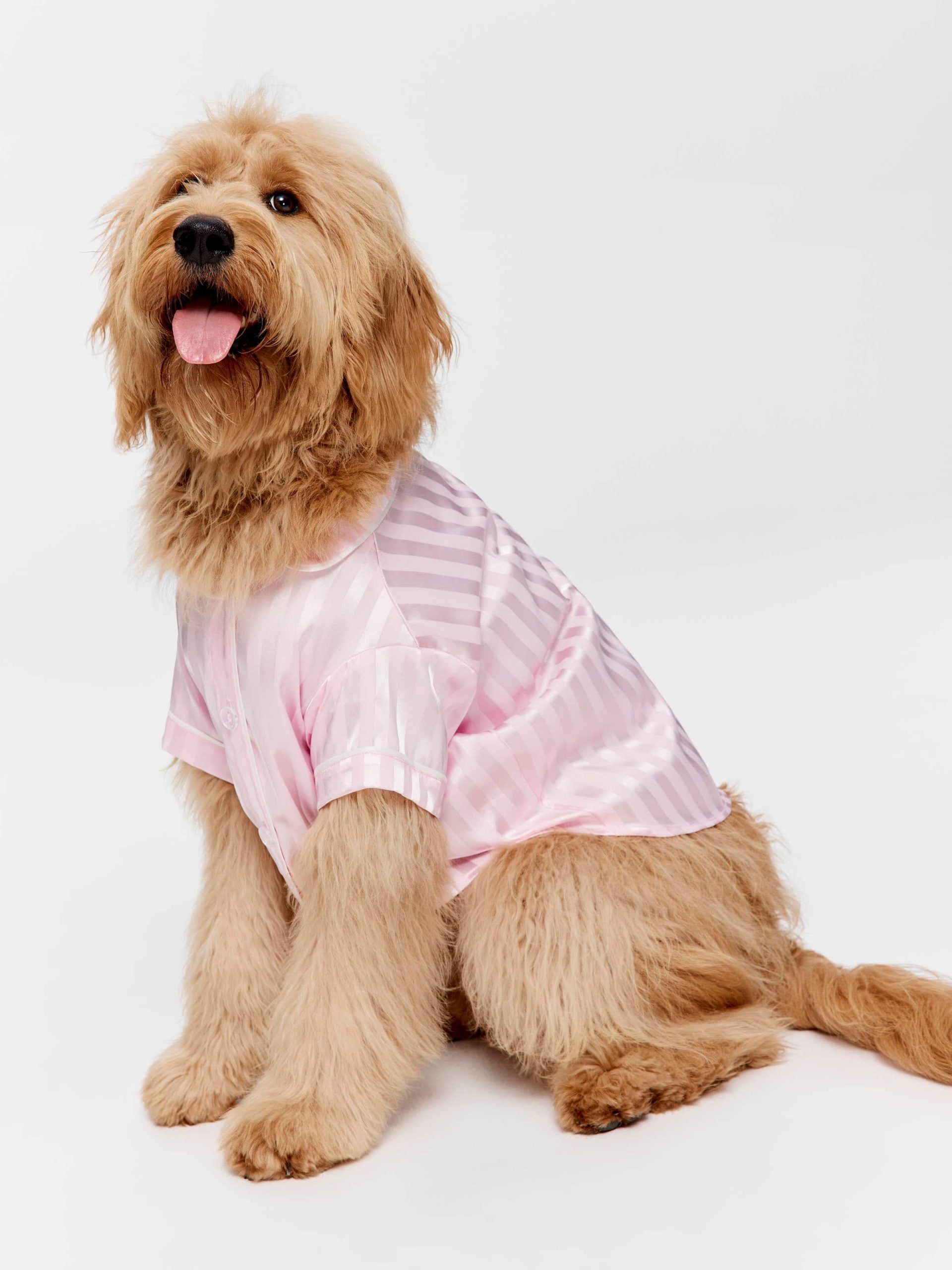 Pink Stripe Satin Doggy Shirt Pale Pink