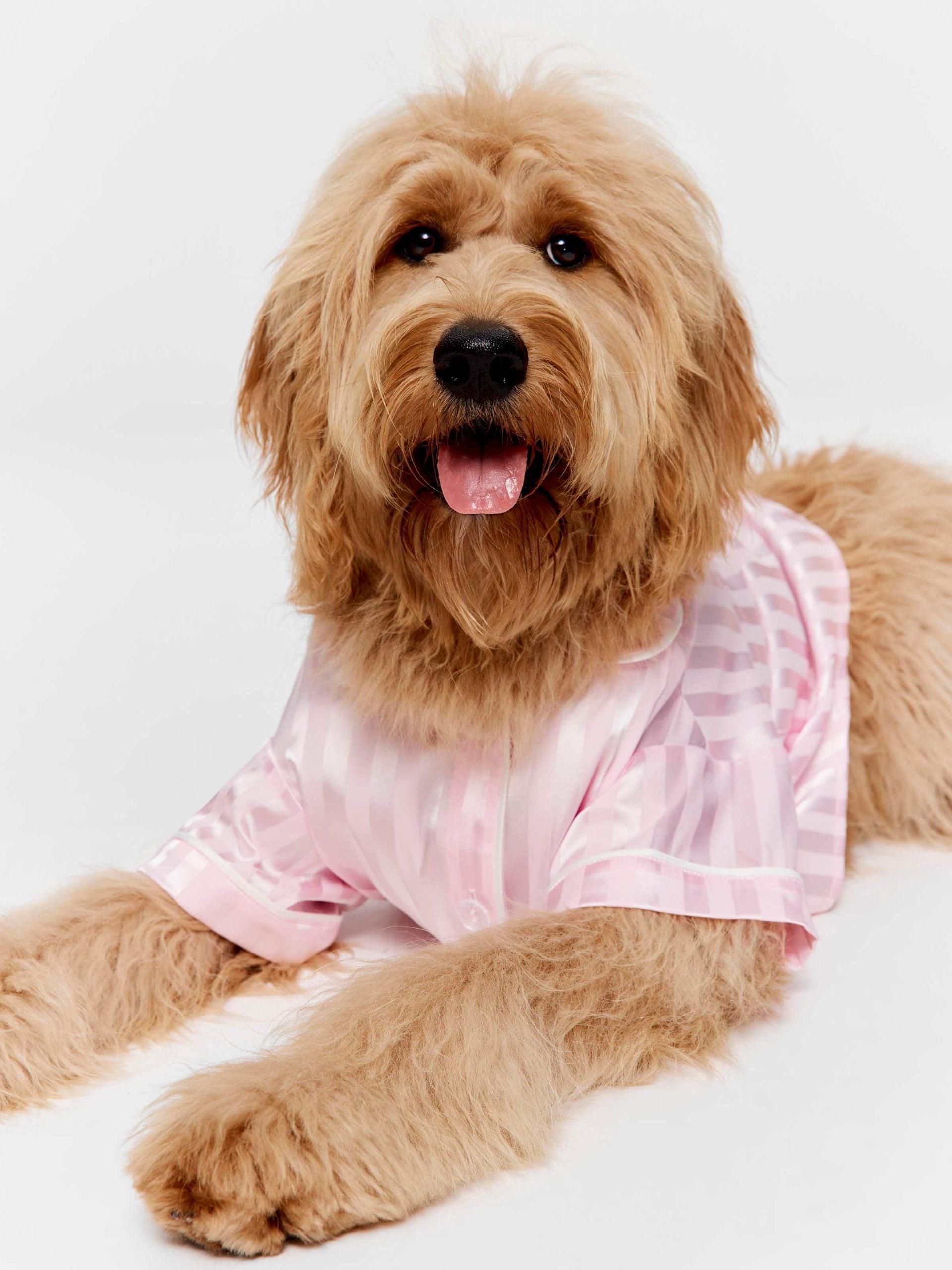 Pink Stripe Satin Doggy Shirt Pale Pink