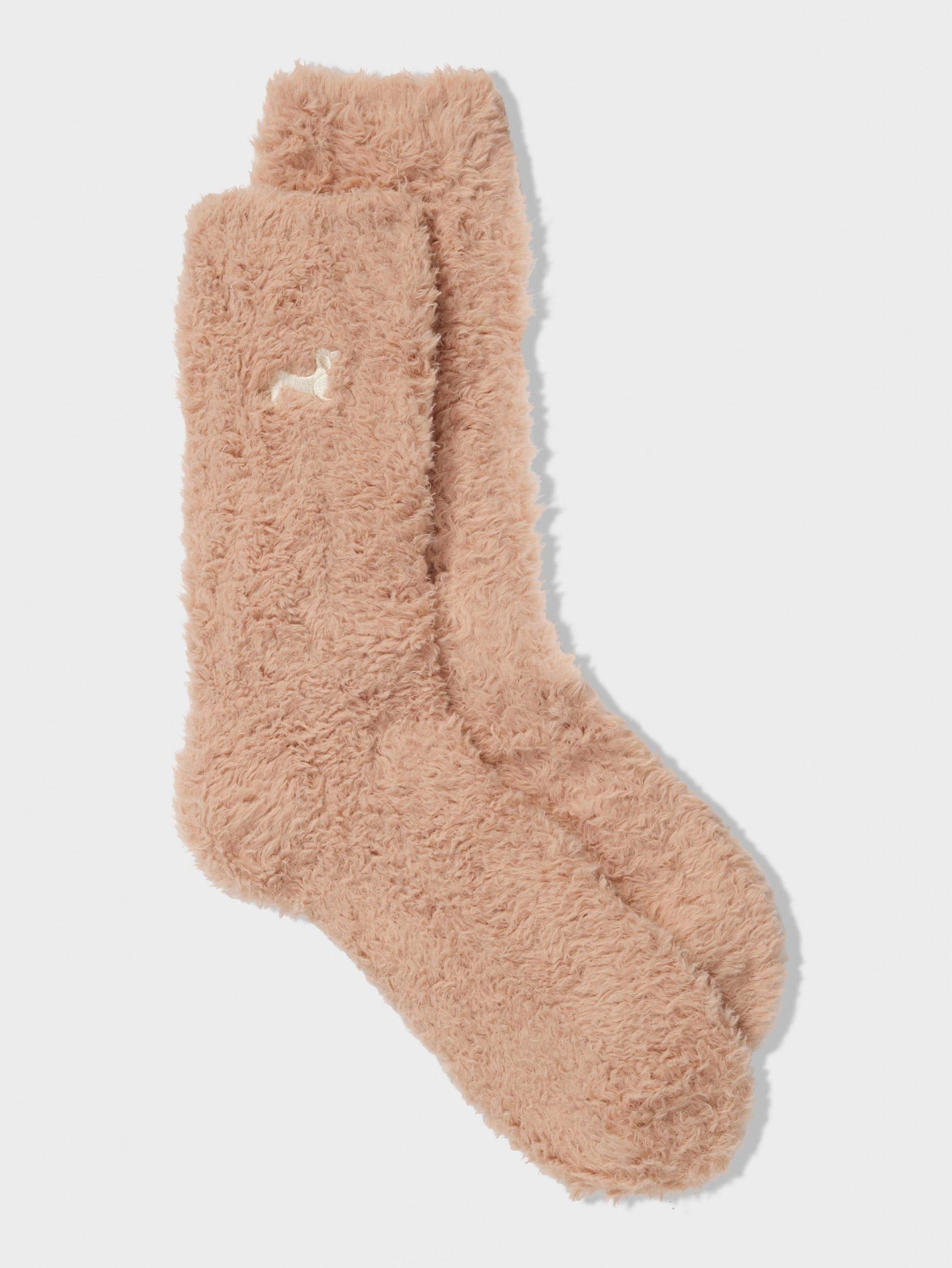 Caramel Cuddle Sock caramel