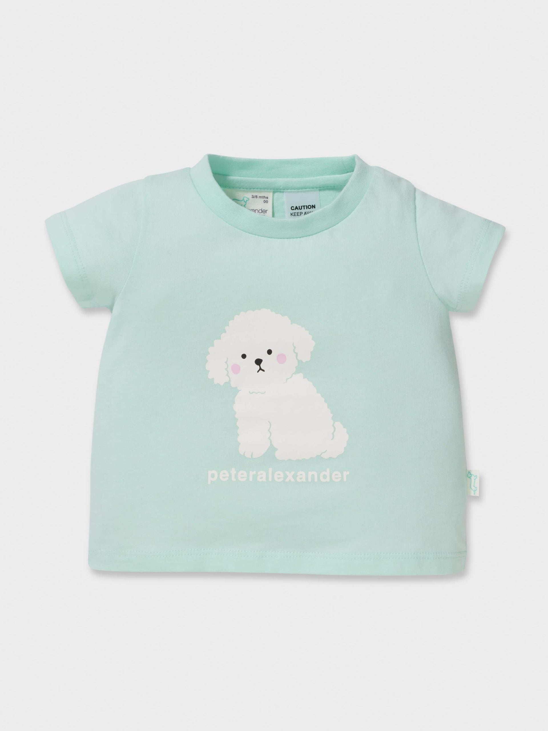 Baby Cute Puppy Pj Set mint