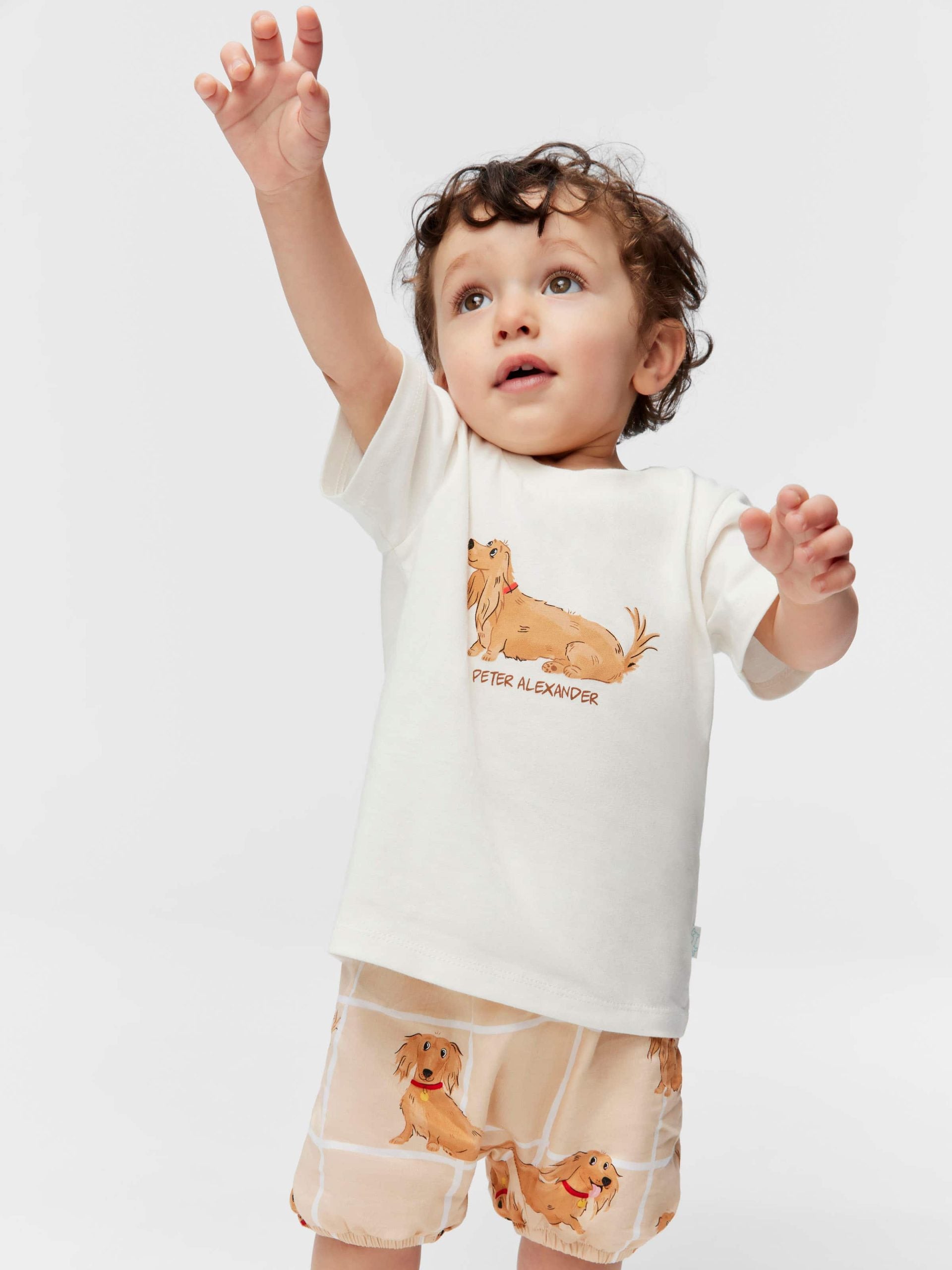 Baby Penny Check Pj Set multi