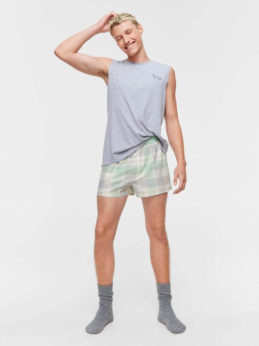 Mint Check Boxer Short multi