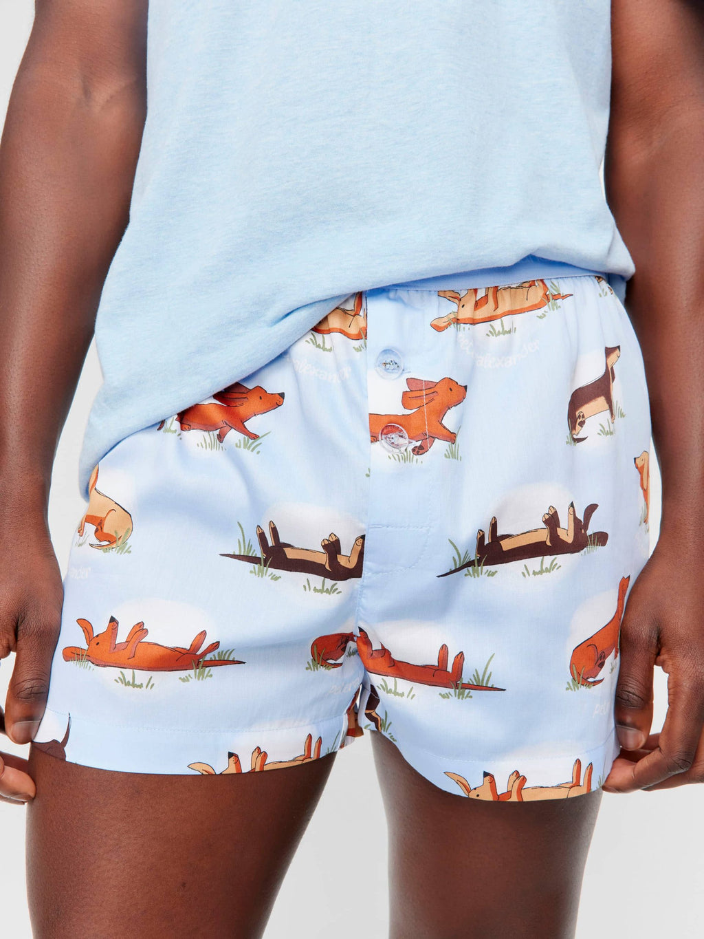 Spot Penny Boxer Short multi