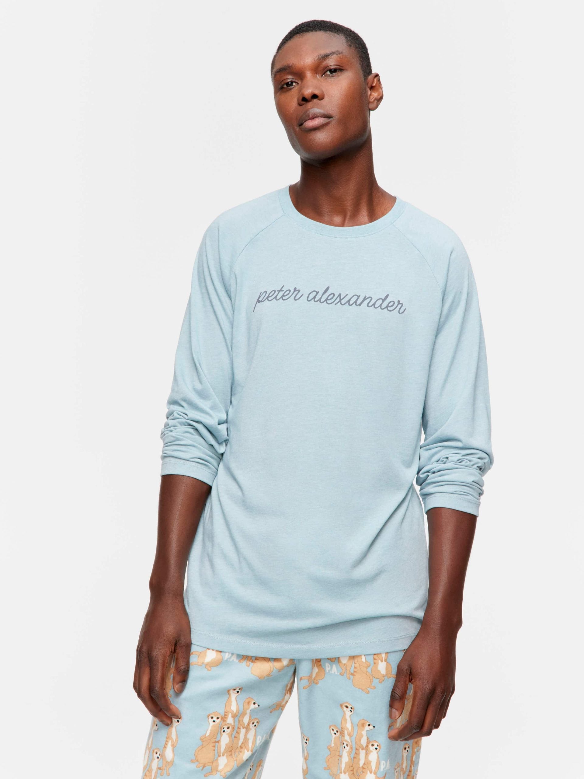 P.A Long Sleeve Top sage