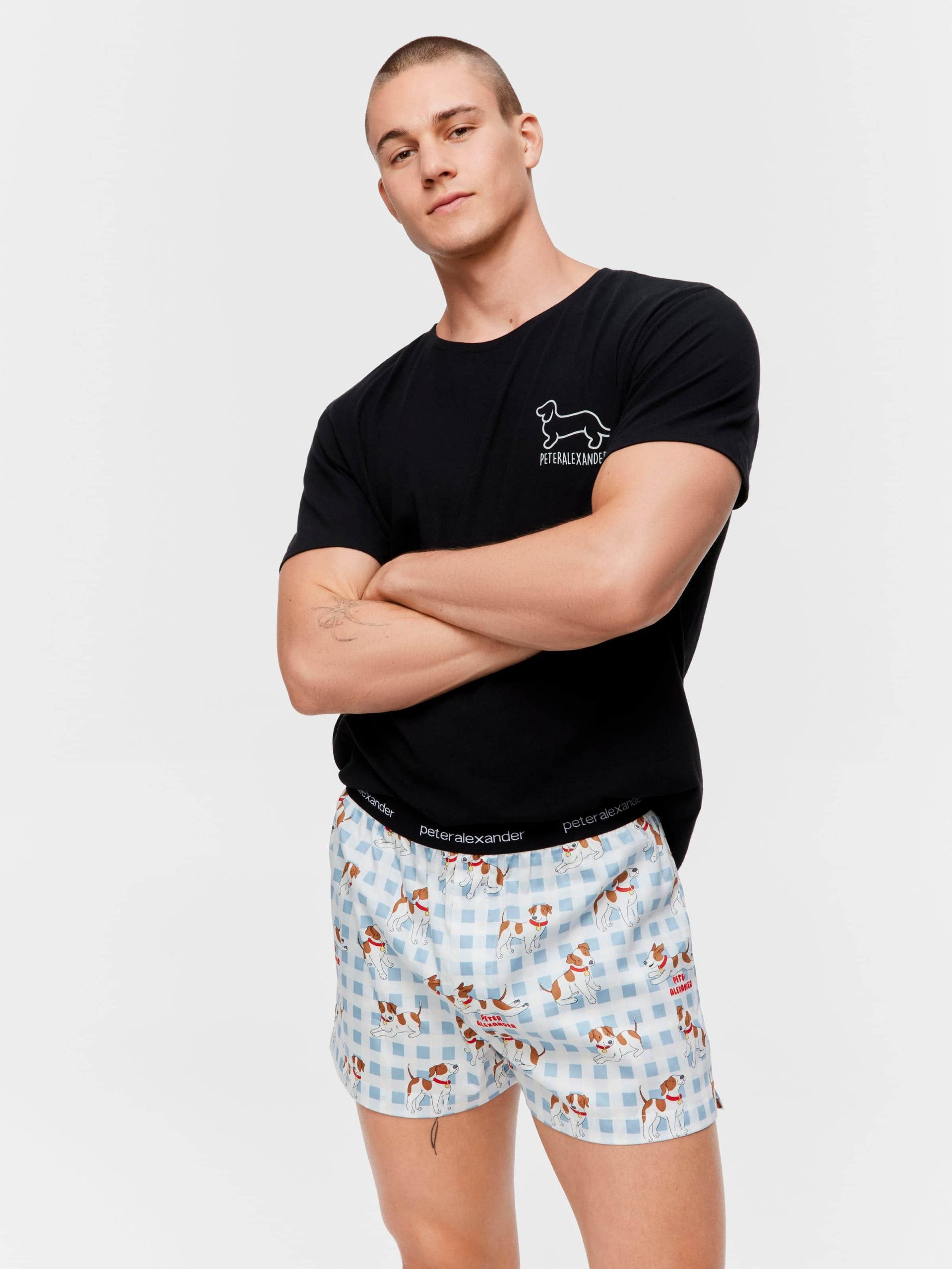 Jack Russell Boxer Short multi