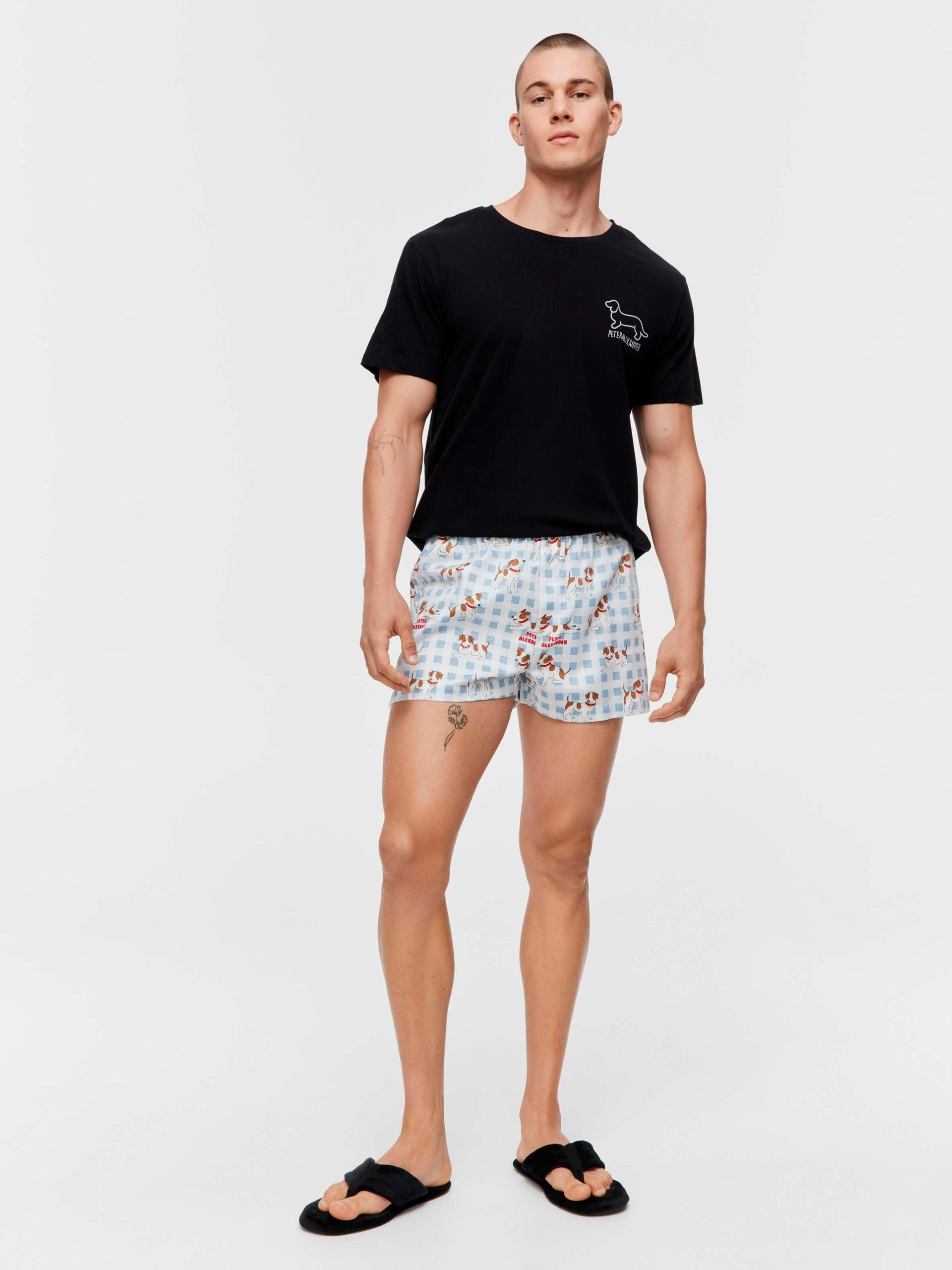 Jack Russell Boxer Short multi