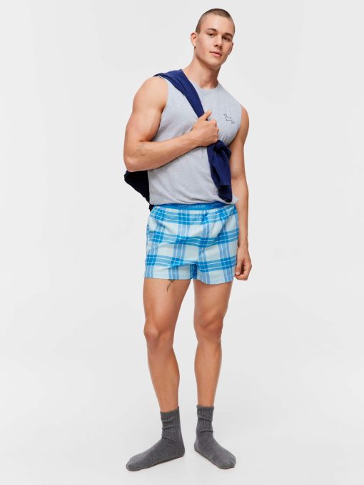 Blue Windowpane Boxer Short multi