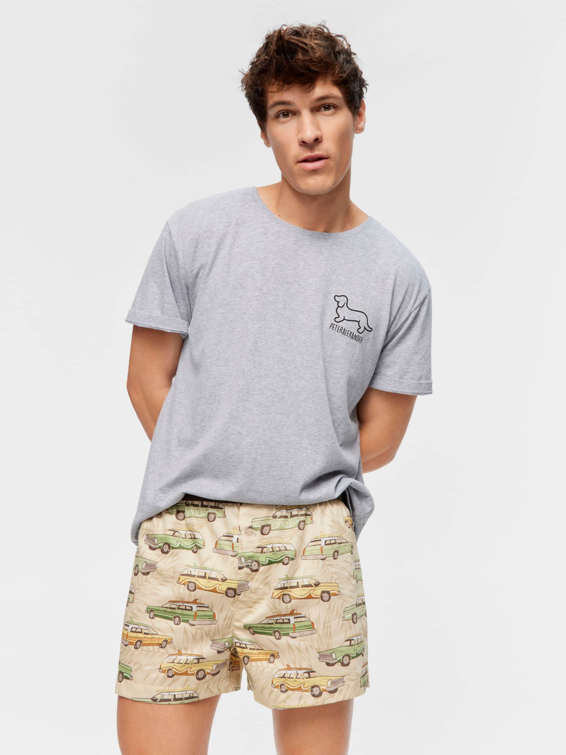 Beach Van Boxer Short multi
