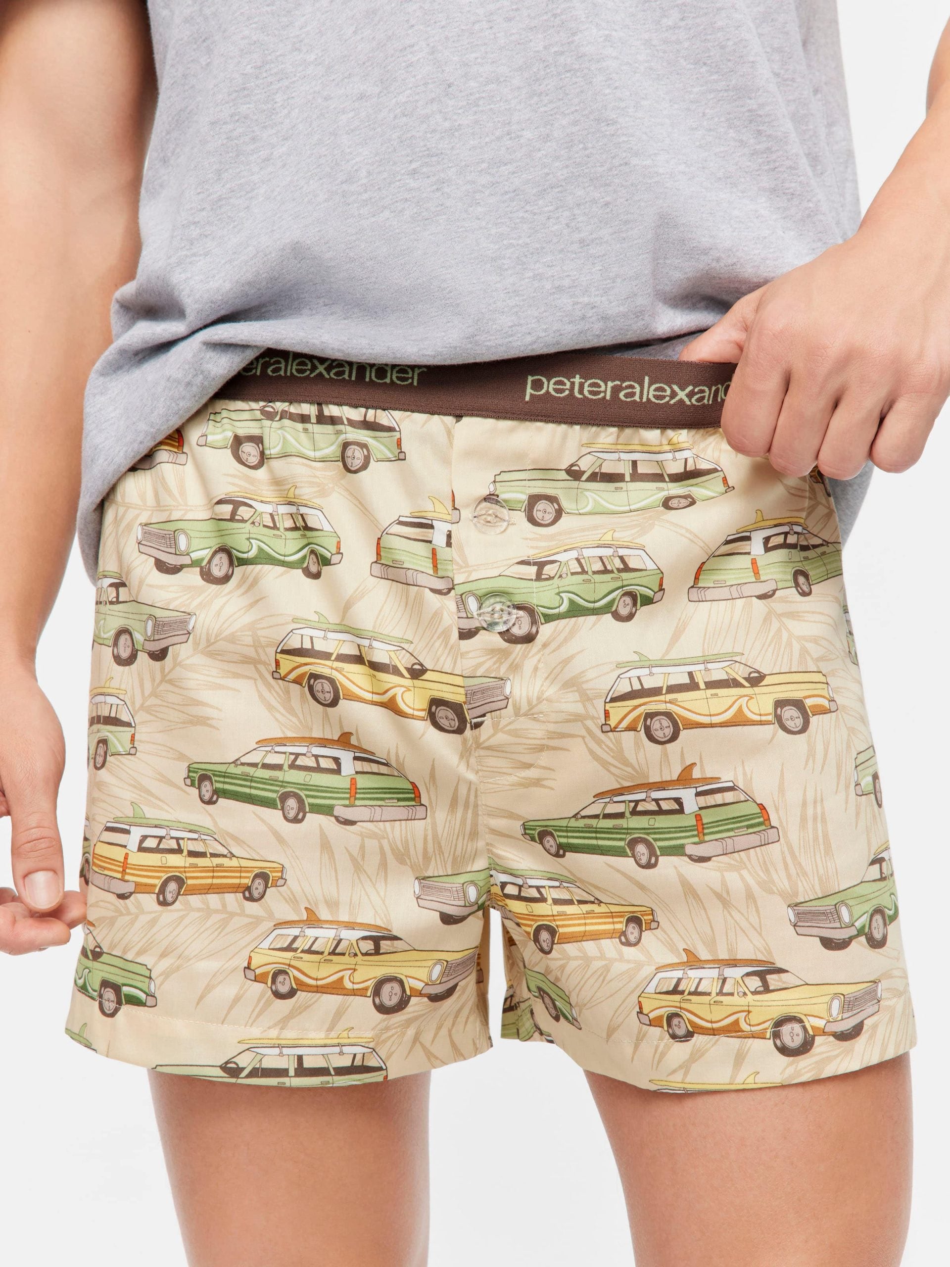 Beach Van Boxer Short multi