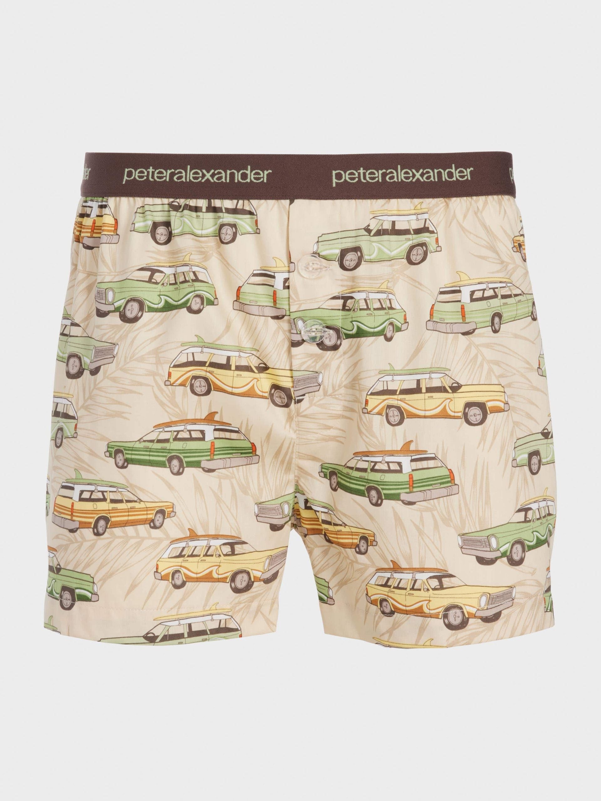Beach Van Boxer Short multi