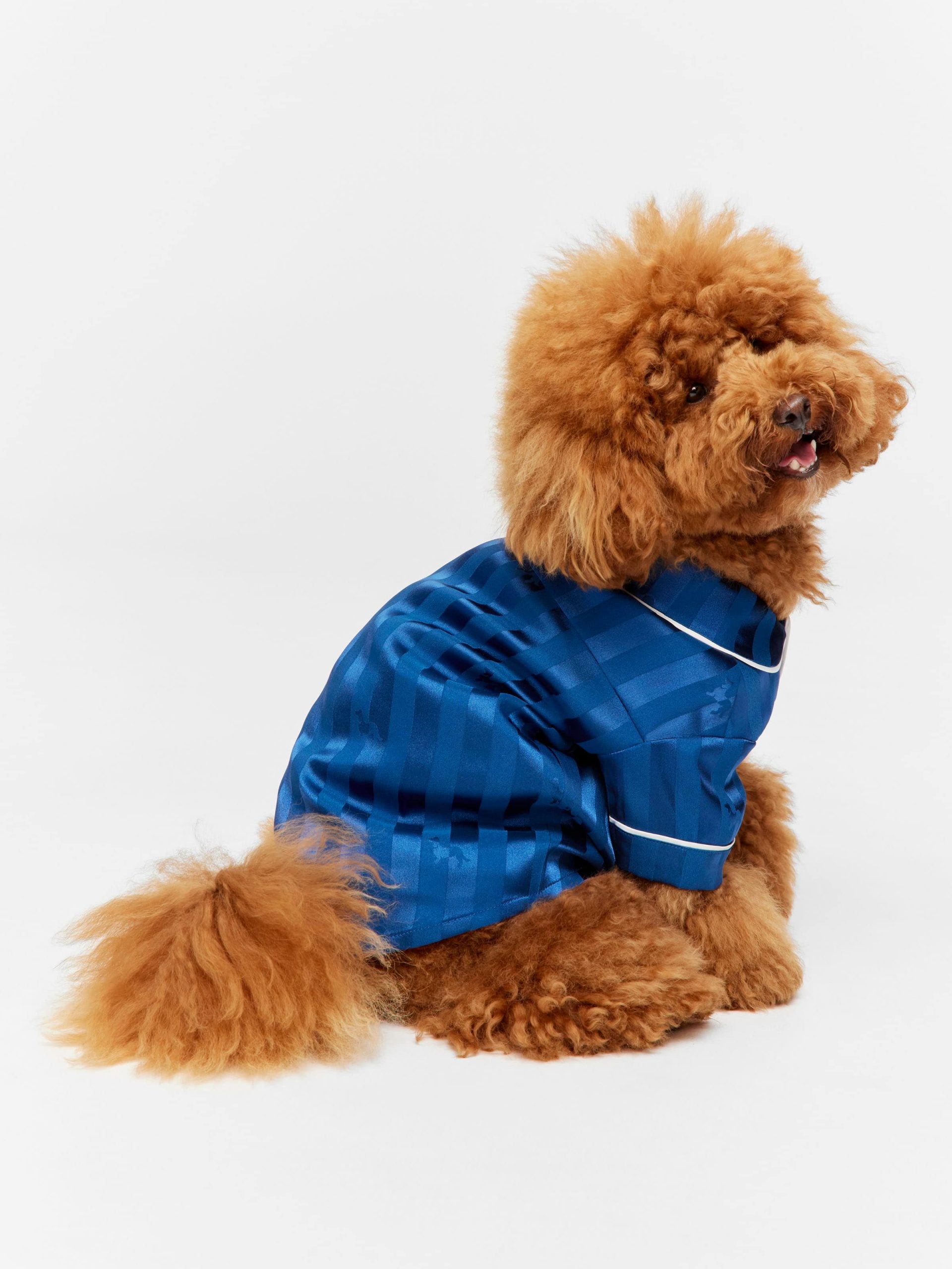 Navy Stripe Satin Doggie Shirt Navy