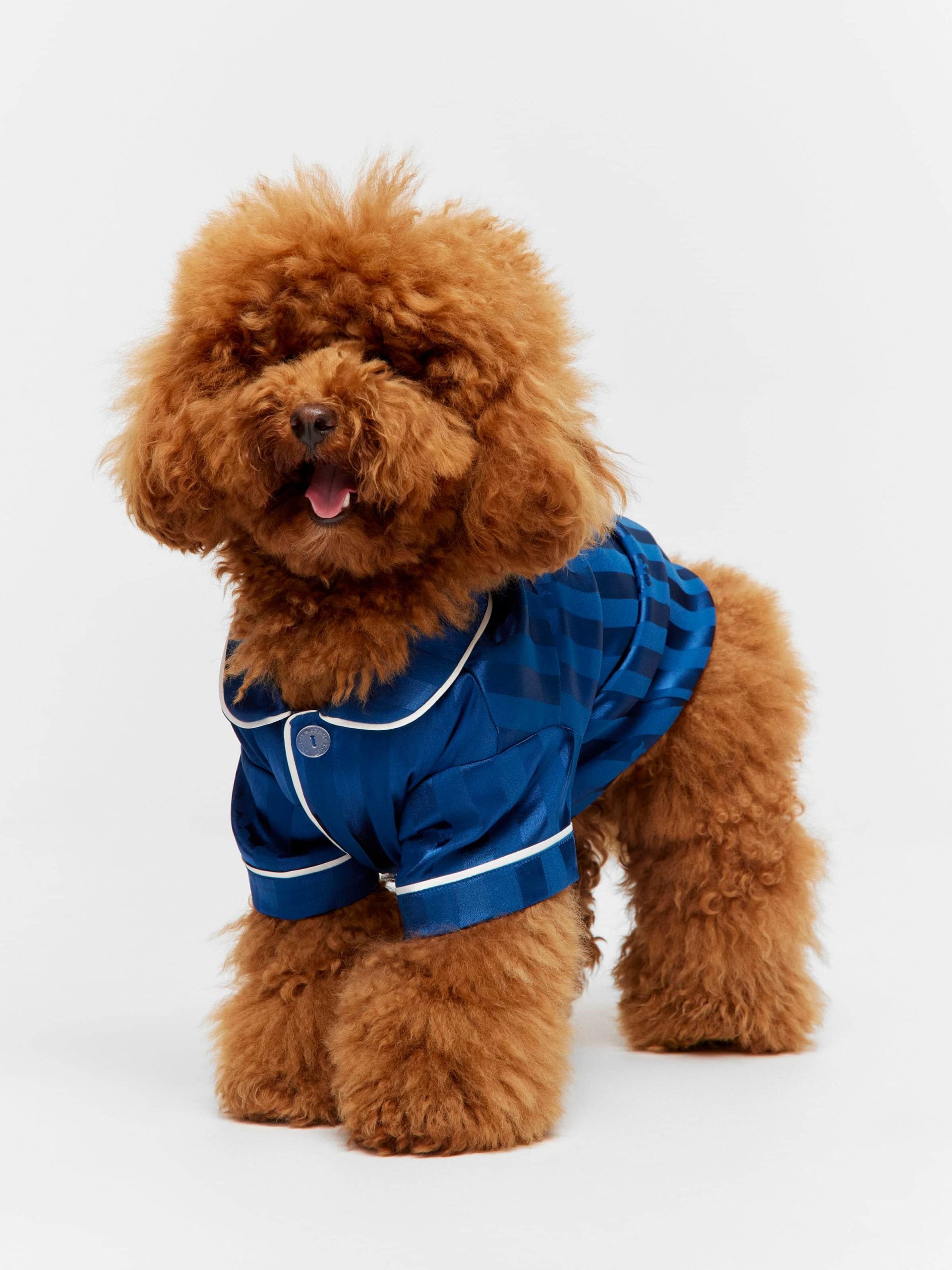 Navy Stripe Satin Doggie Shirt Navy