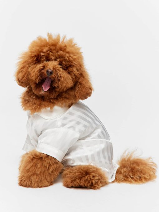 White Stripe Satin Doggie Shirt White