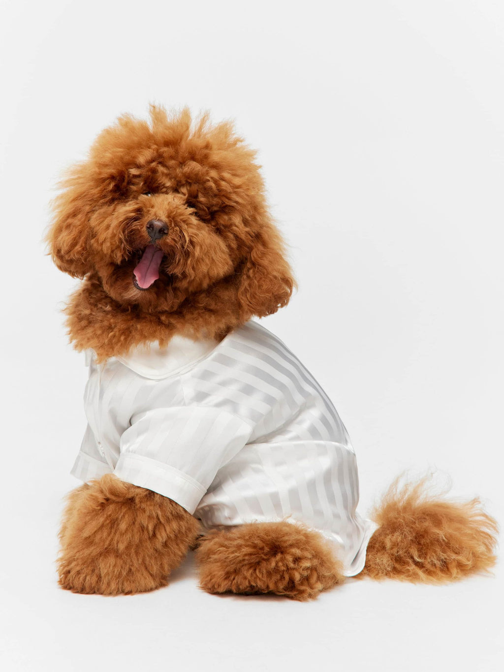 White Stripe Satin Doggie Shirt White