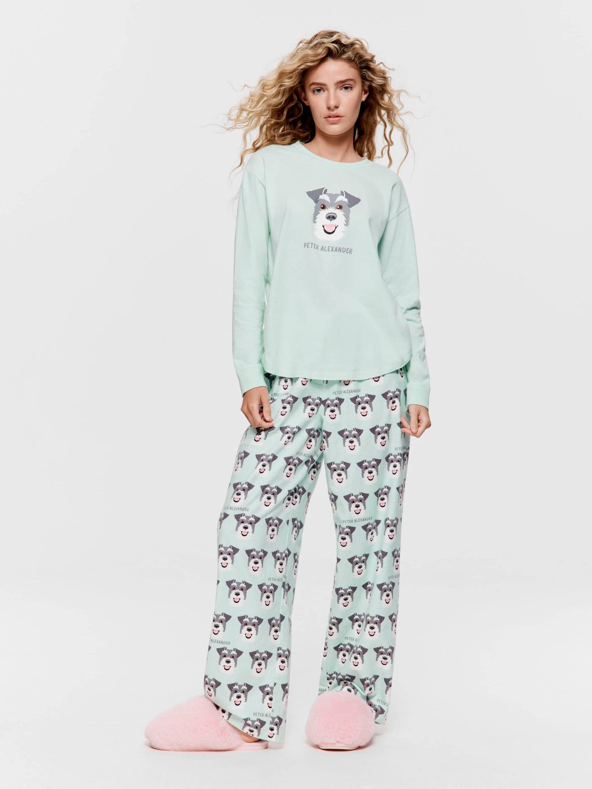 Schnauzer Sweater Mint
