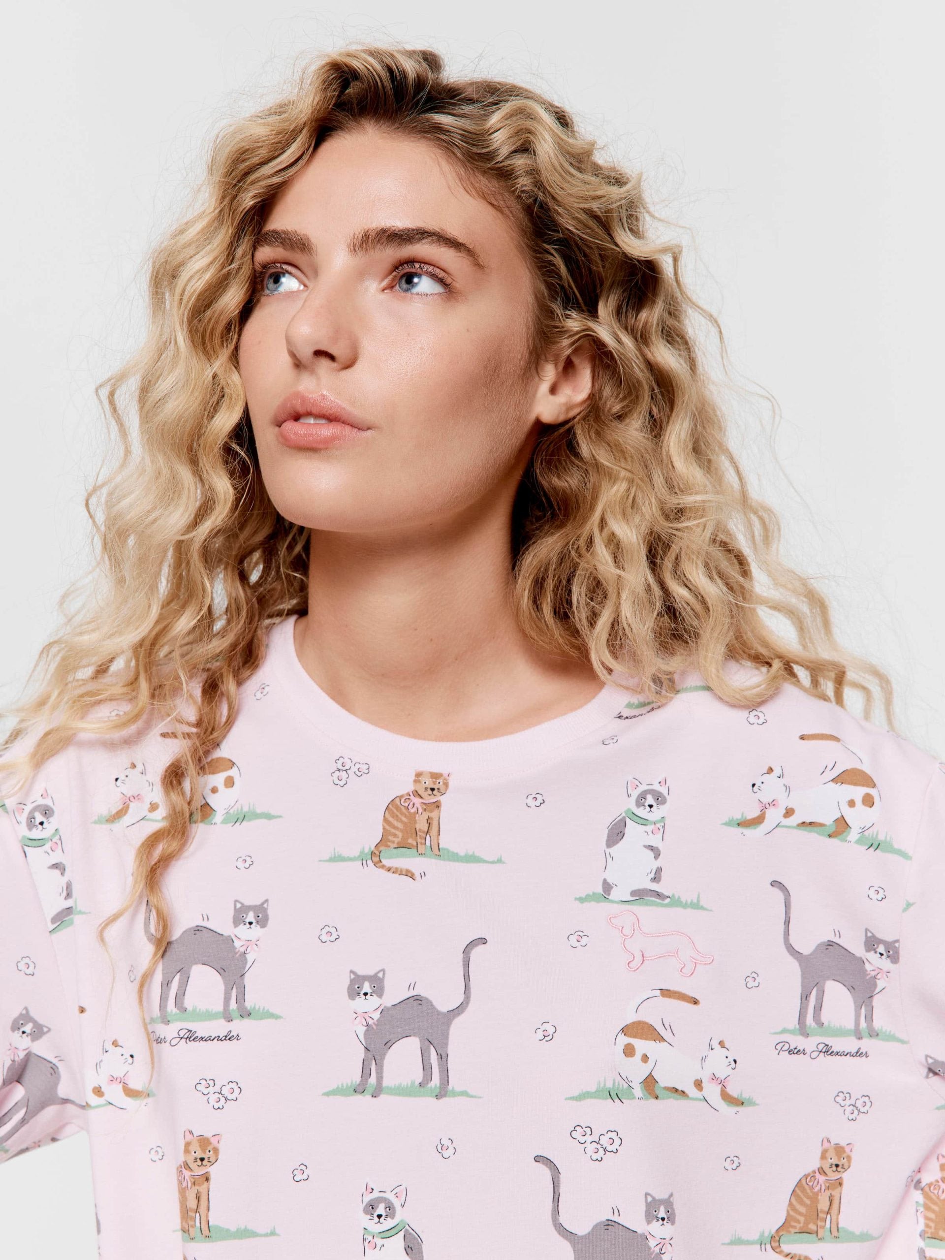 Cats Sweater multi