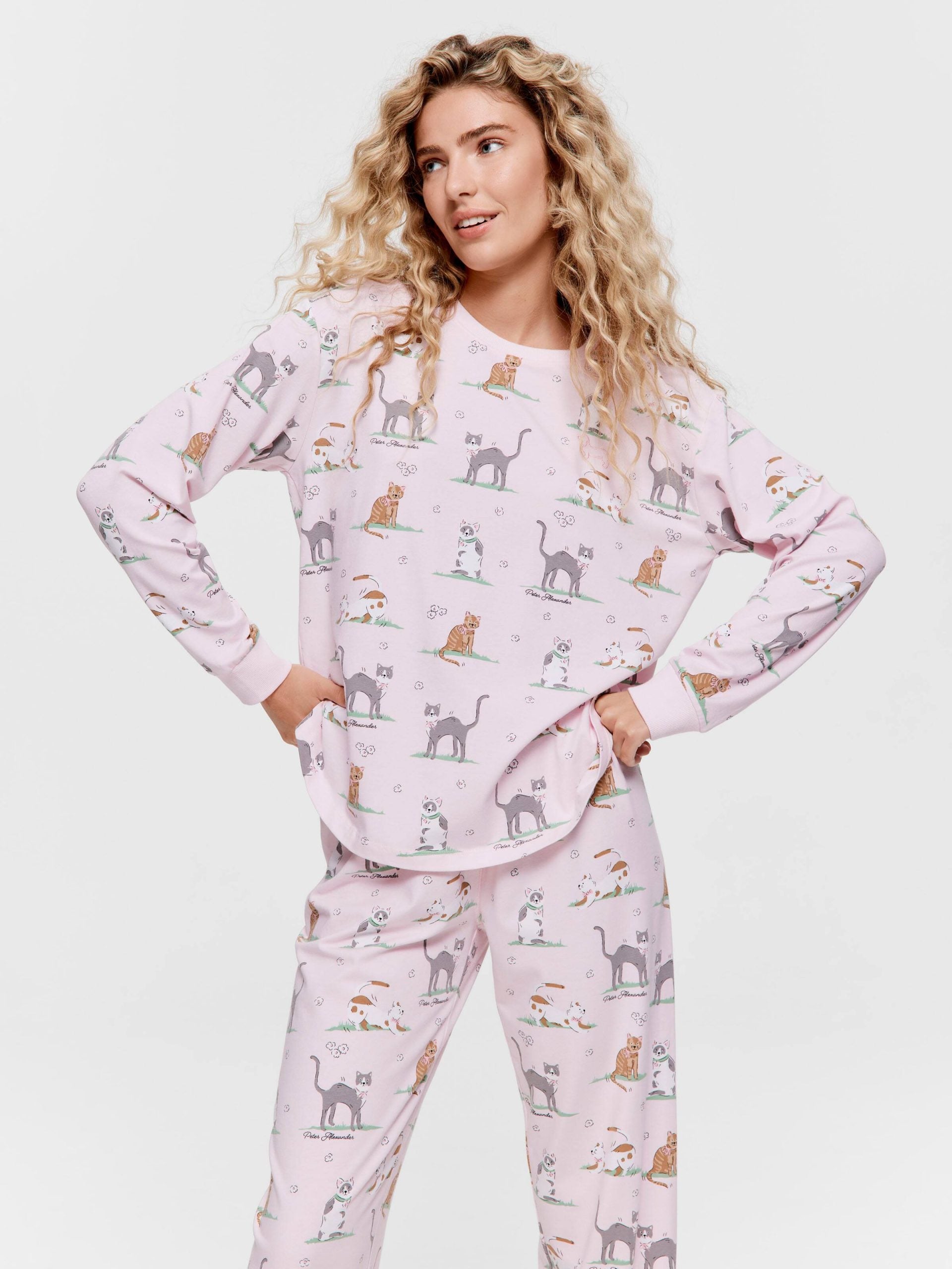 Cats Sweater multi