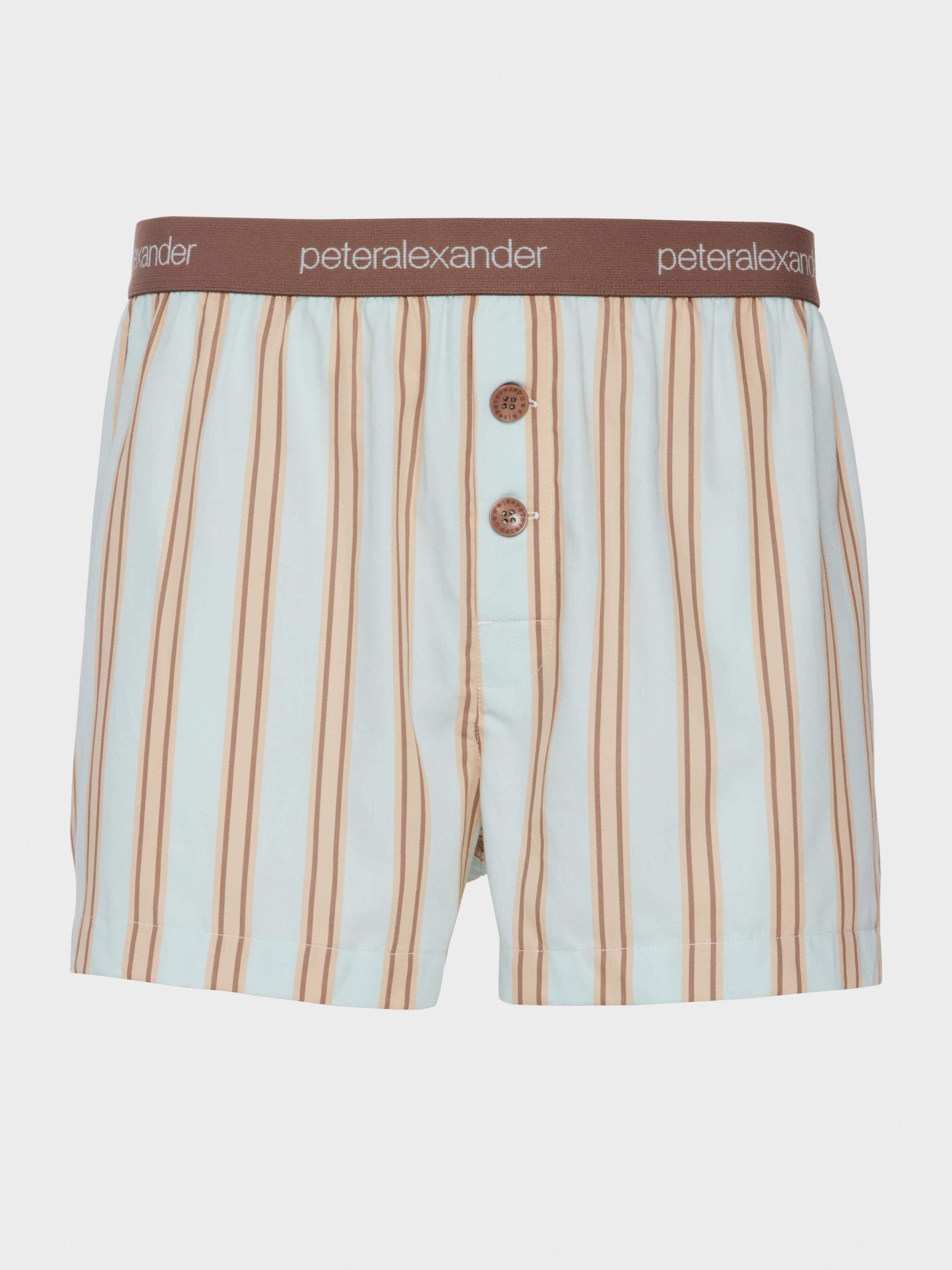 Mint Stripe Boxer Short multi