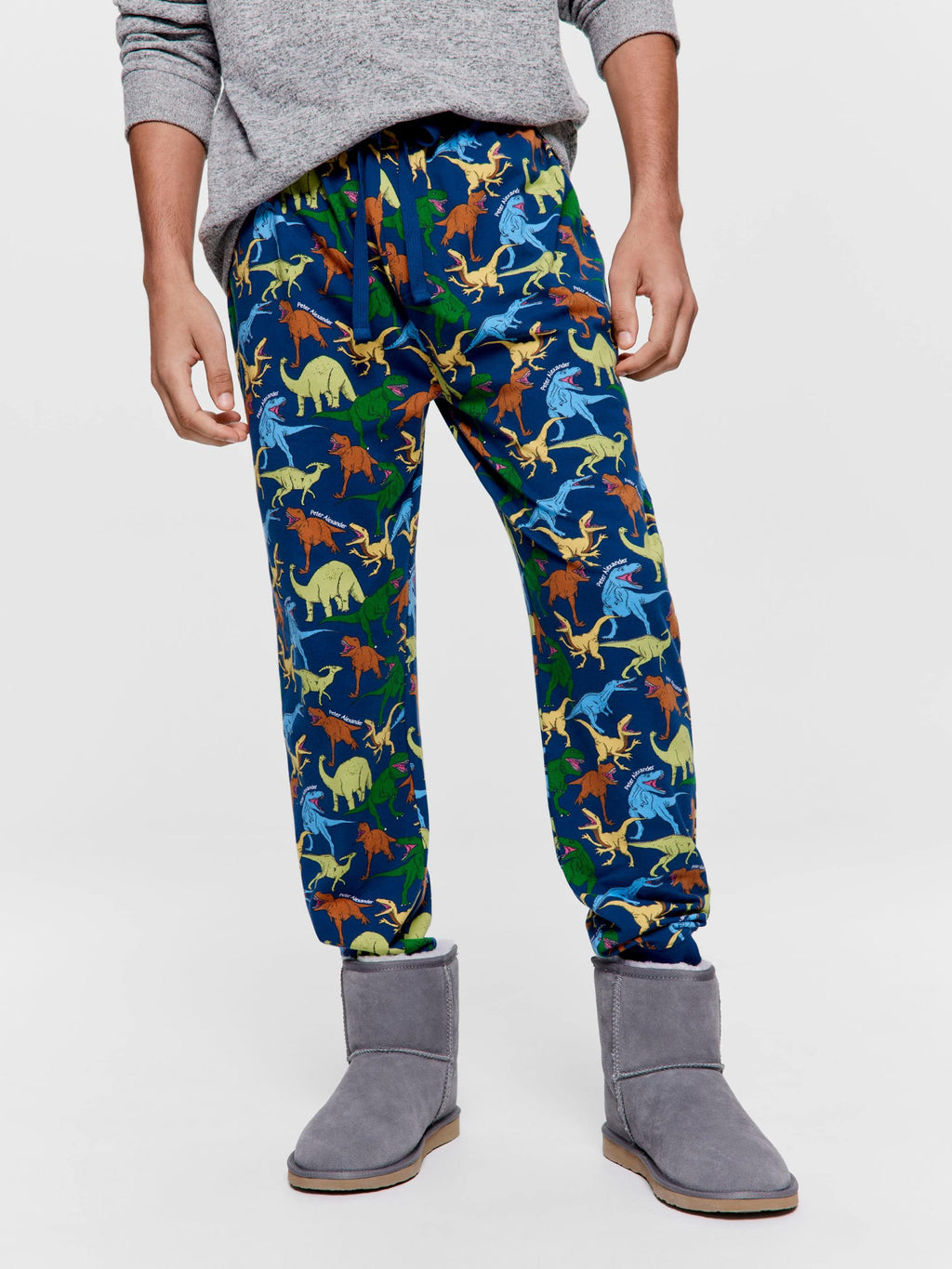 Dino Jogger Pj Pant multi